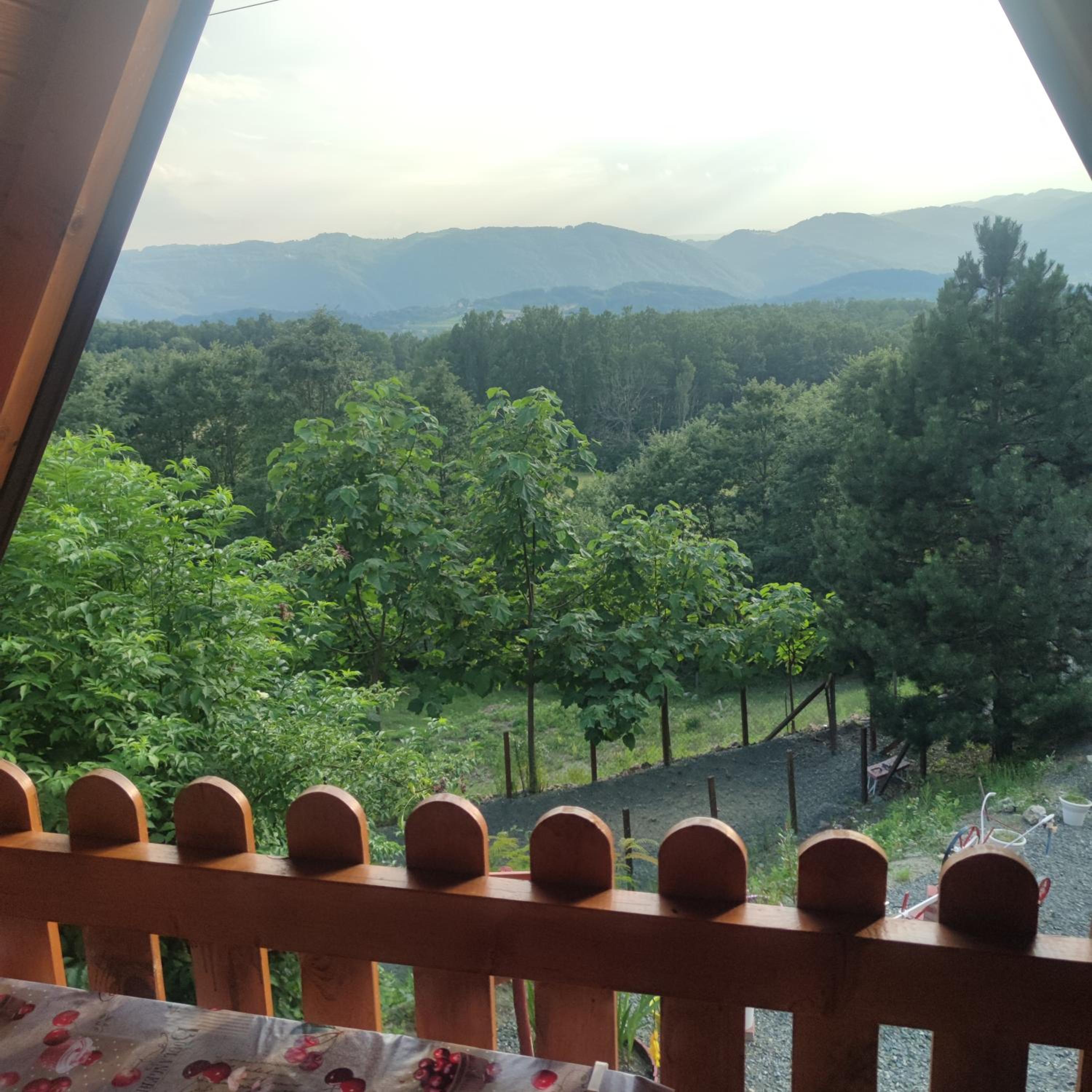 Seoski Turizam Feniks apartman Davidovi Psalmi