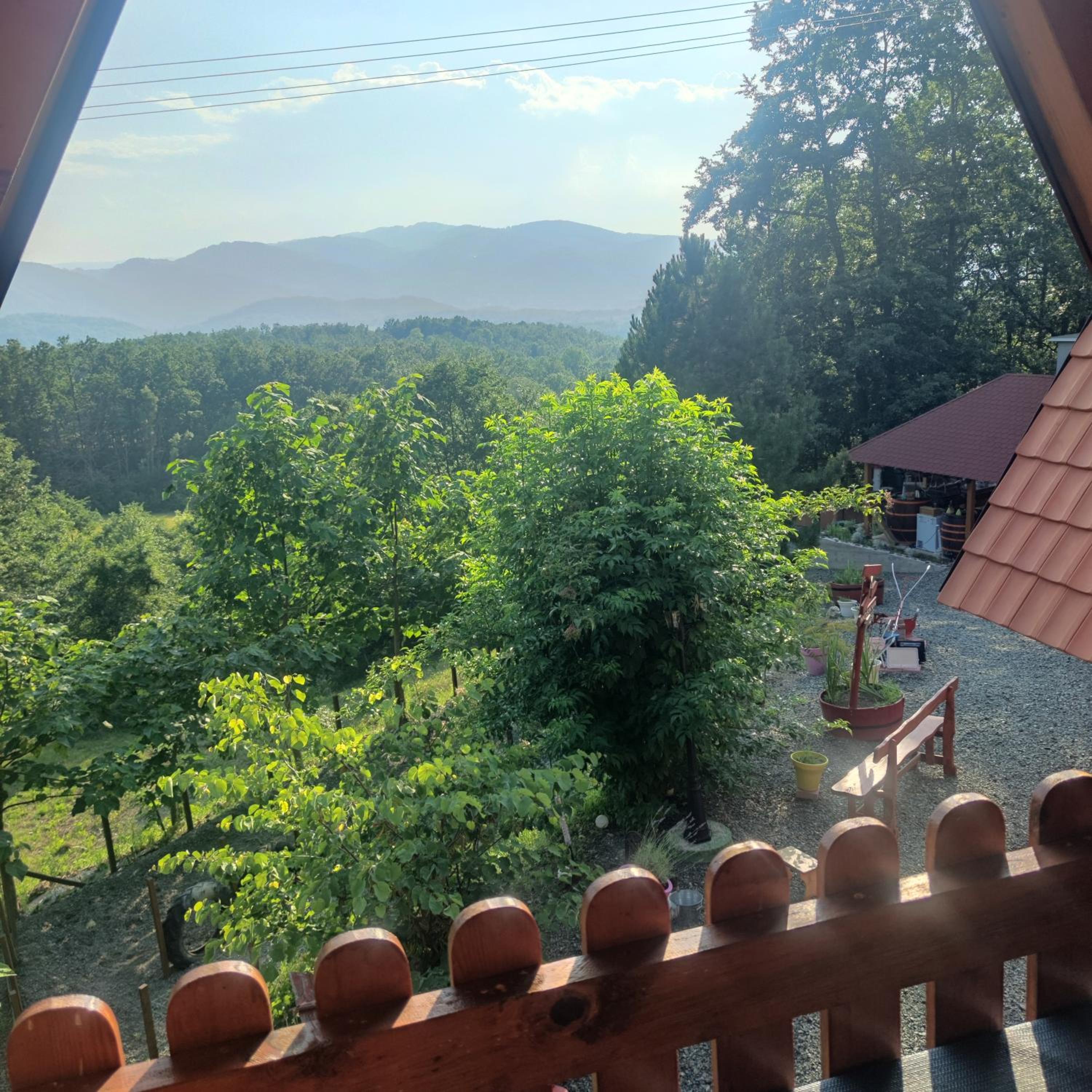 Seoski Turizam Feniks apartman Davidovi Psalmi