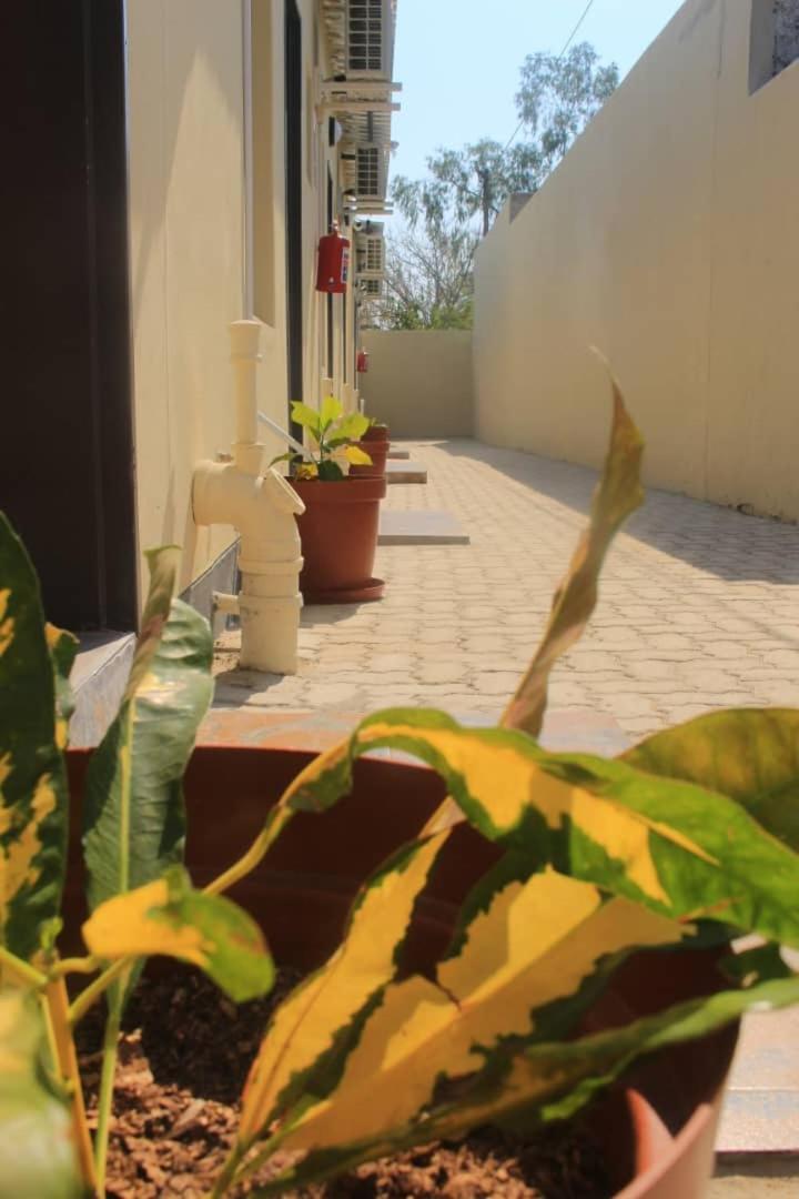 Photo 23