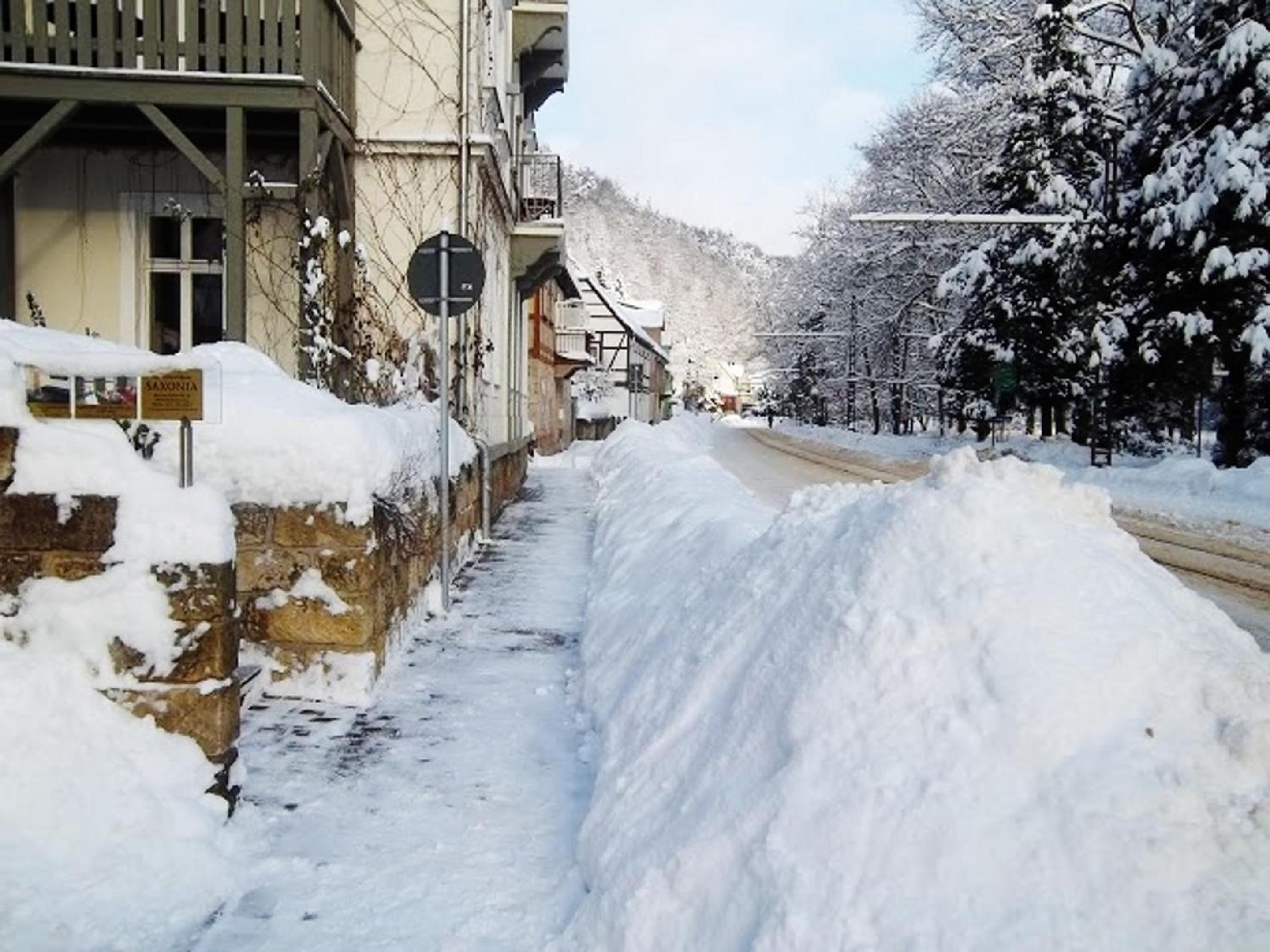 Cosy apartment in Bad Schandau - 50 m² with Internet