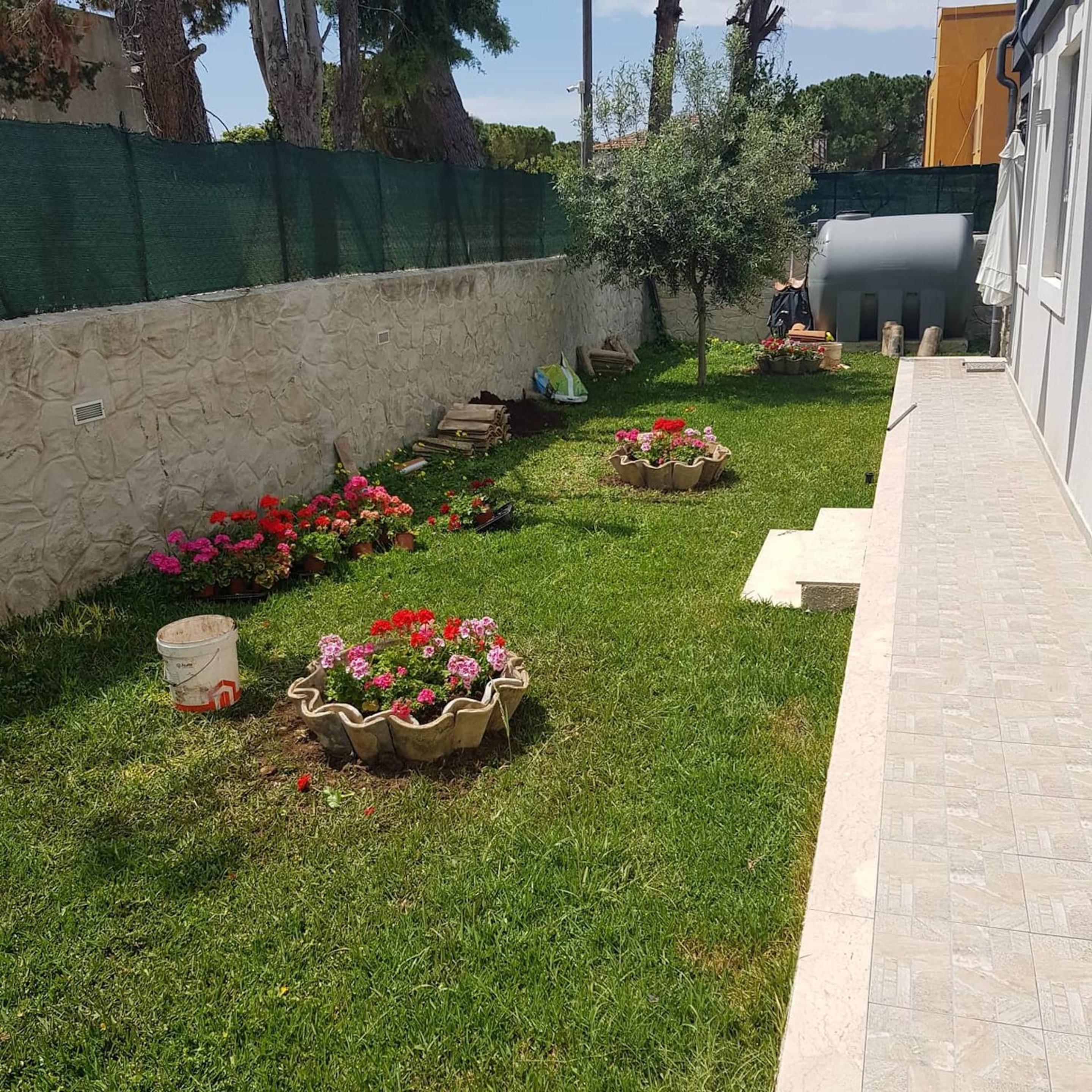 Photo 16