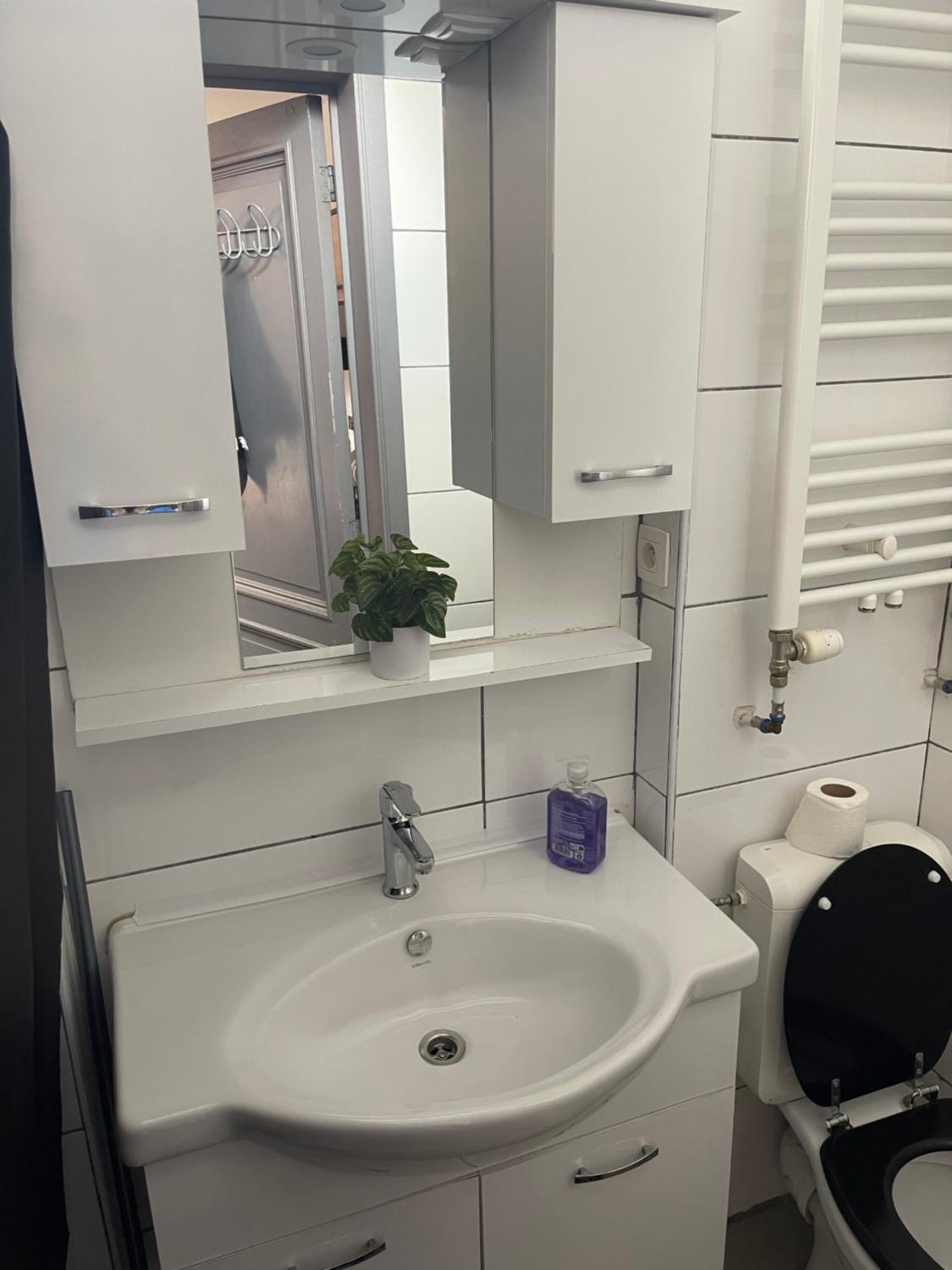 Beautiful Big Apartment in Central Antwerp