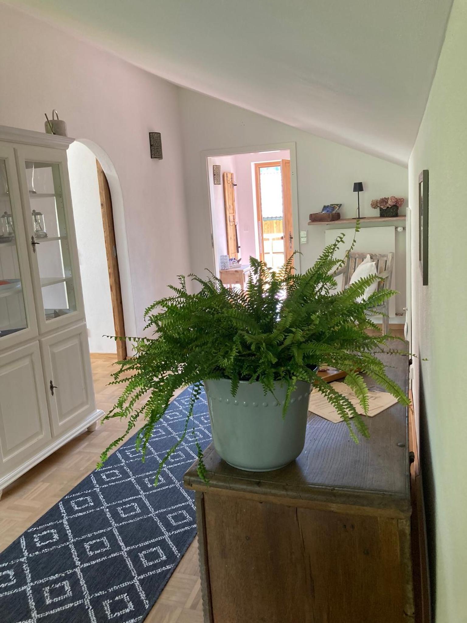 Ferienwohnung / Appartement Bergliebe