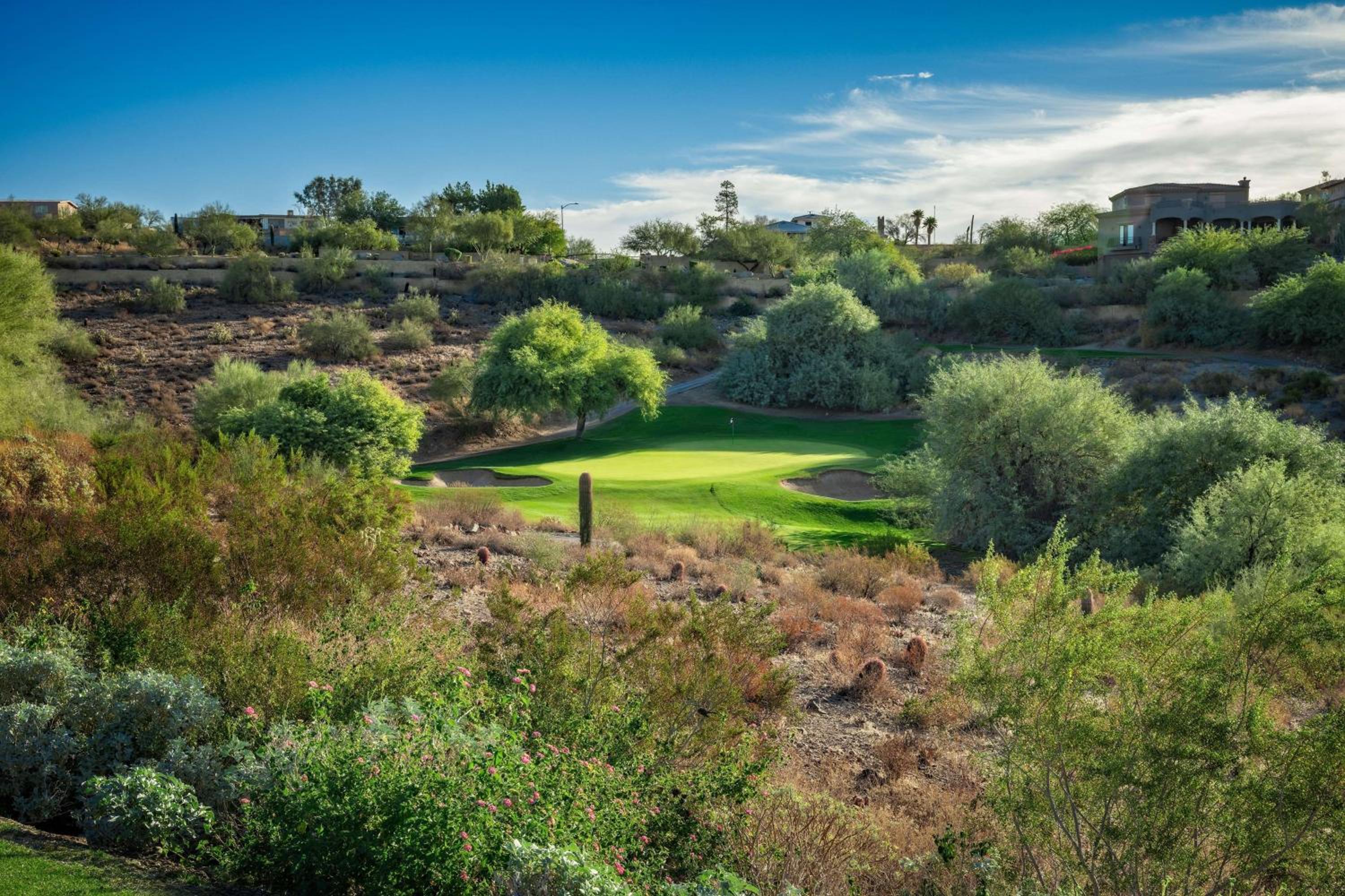 Hilton Phoenix Tapatio Cliffs Resort, Φωτογραφία 99