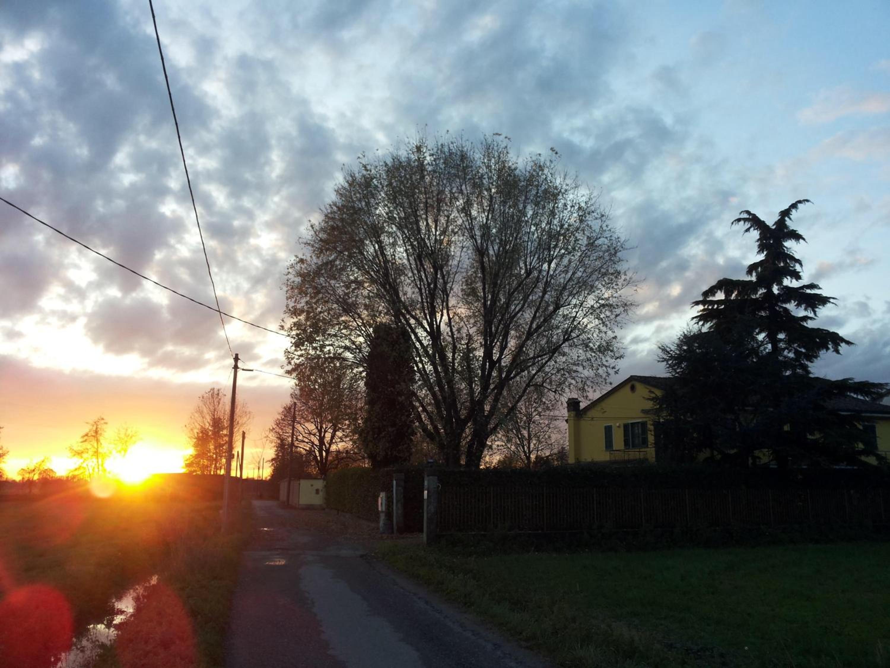 Photo 45