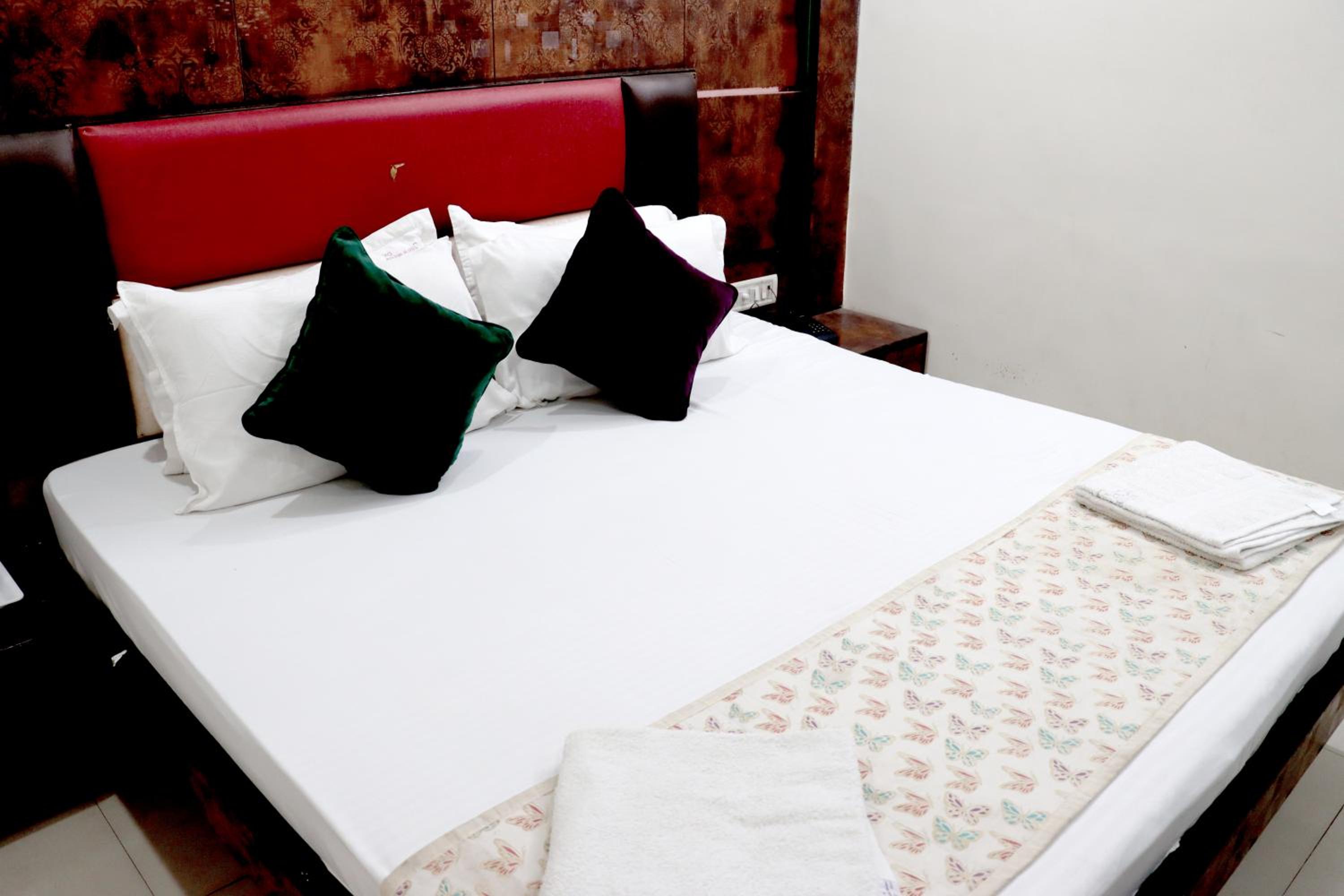 Hotel Snow White - Near R K Ashram Metro Station Paharganj view 3
