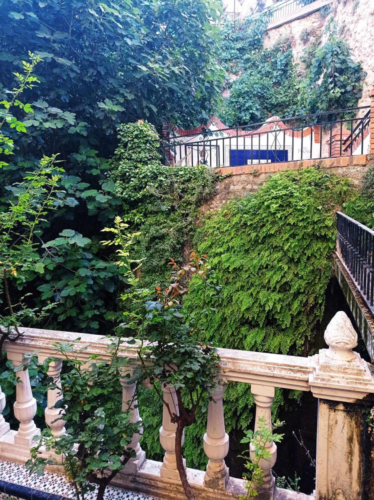 Los Caños de La Casa Viva view 4