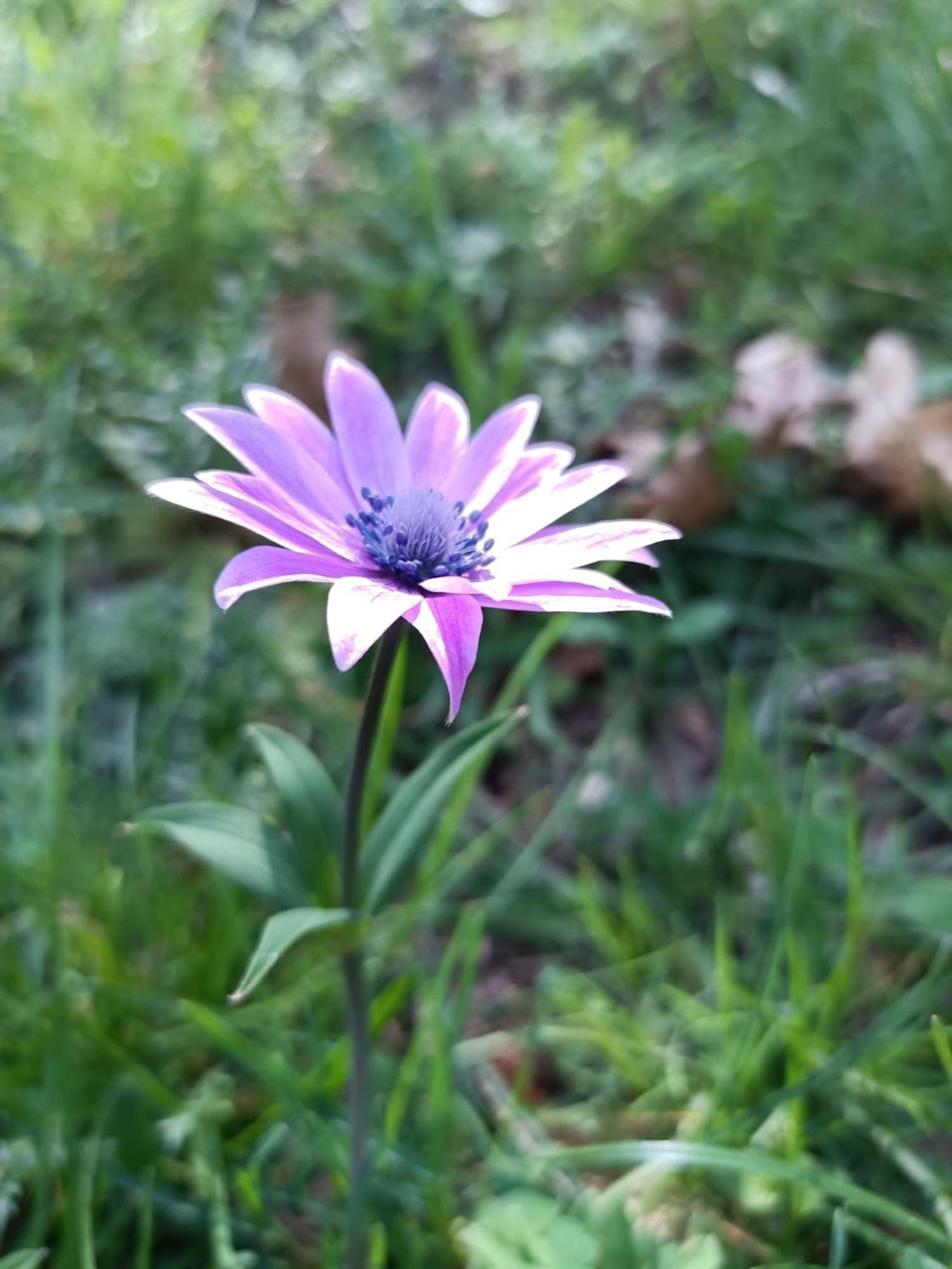 other