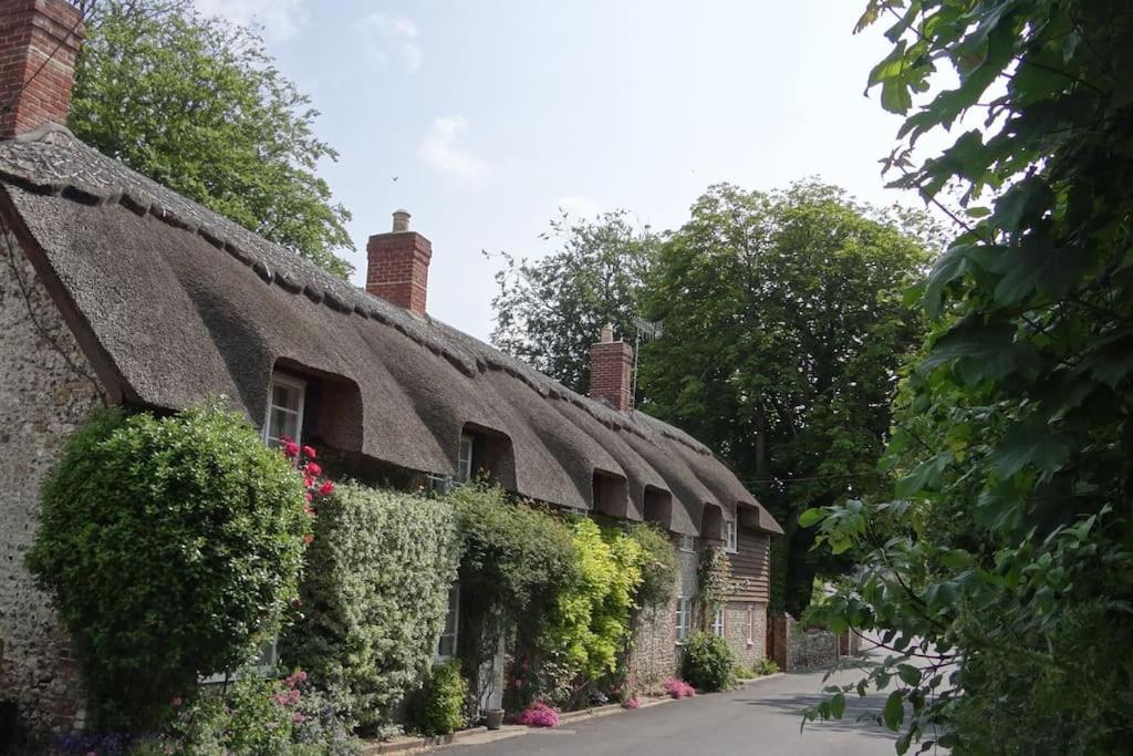 Little Thatch Cottage - Cerne Abbas, Dorset view 3
