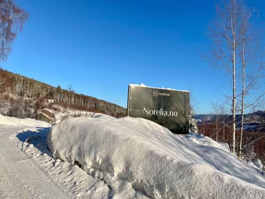 Norefjell, Ny og flott hytte 4 soverom view 5