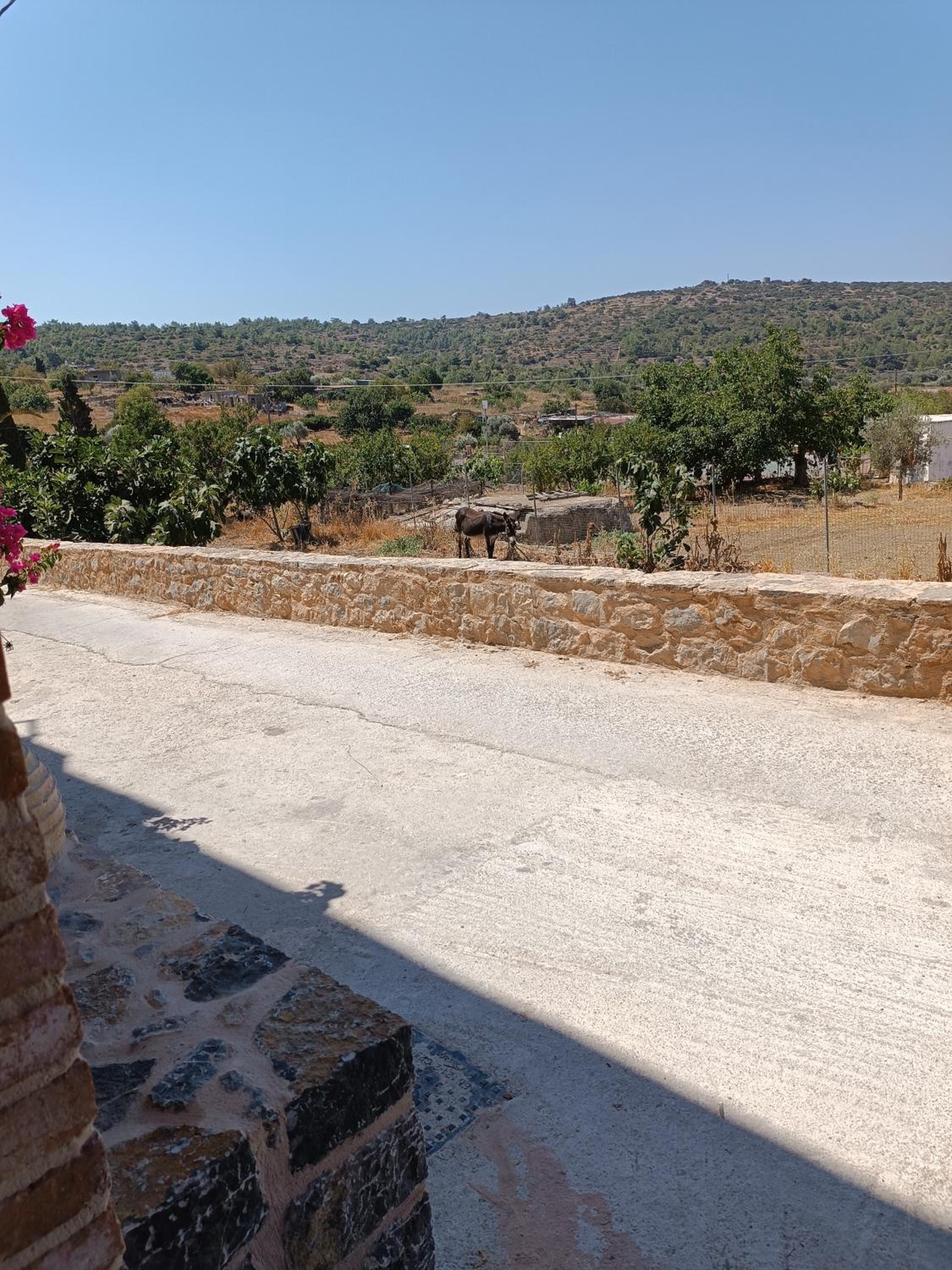 Vlychos Olympi Lodges - Chios Cozy Getaways