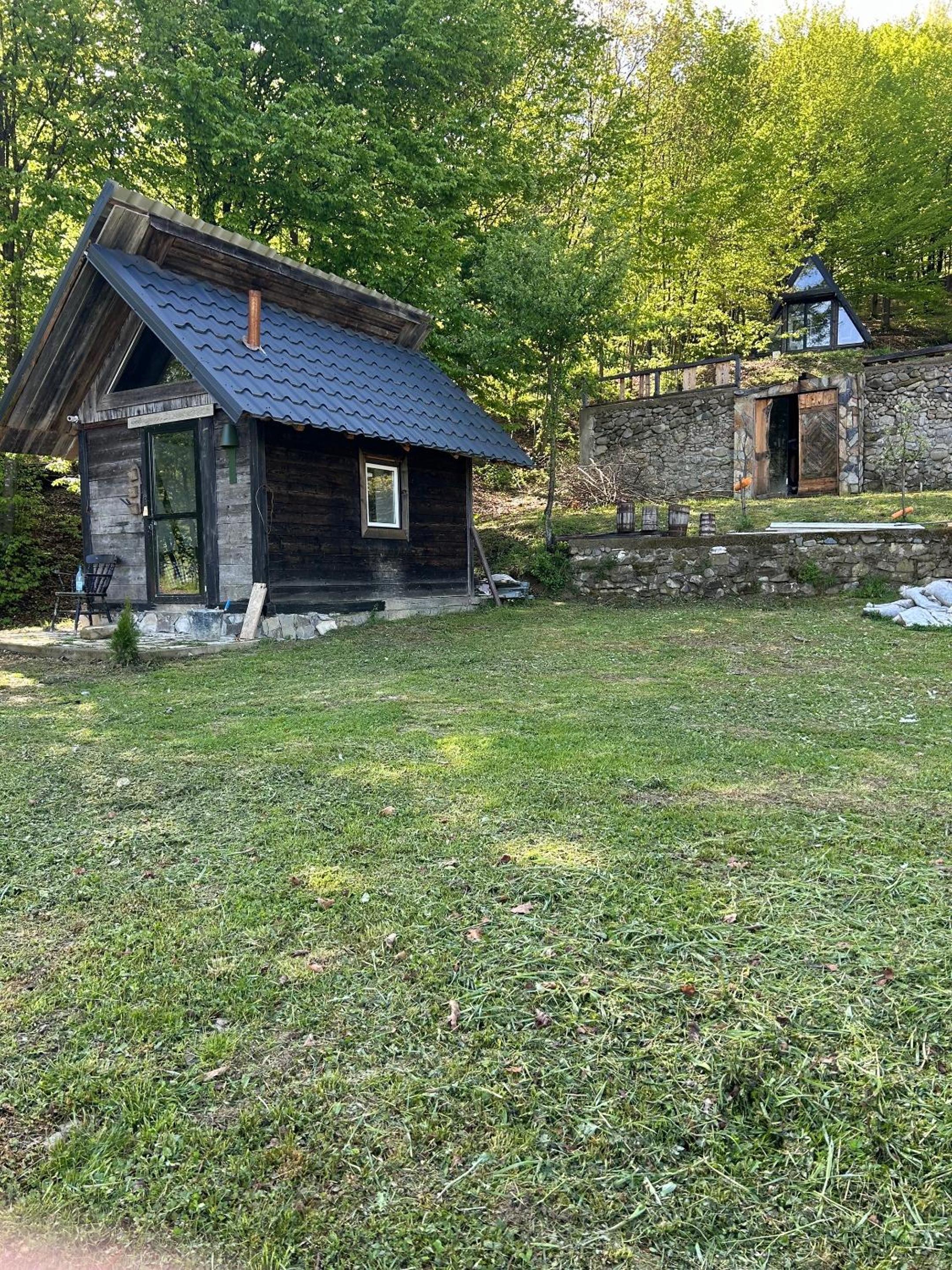 Photo 8