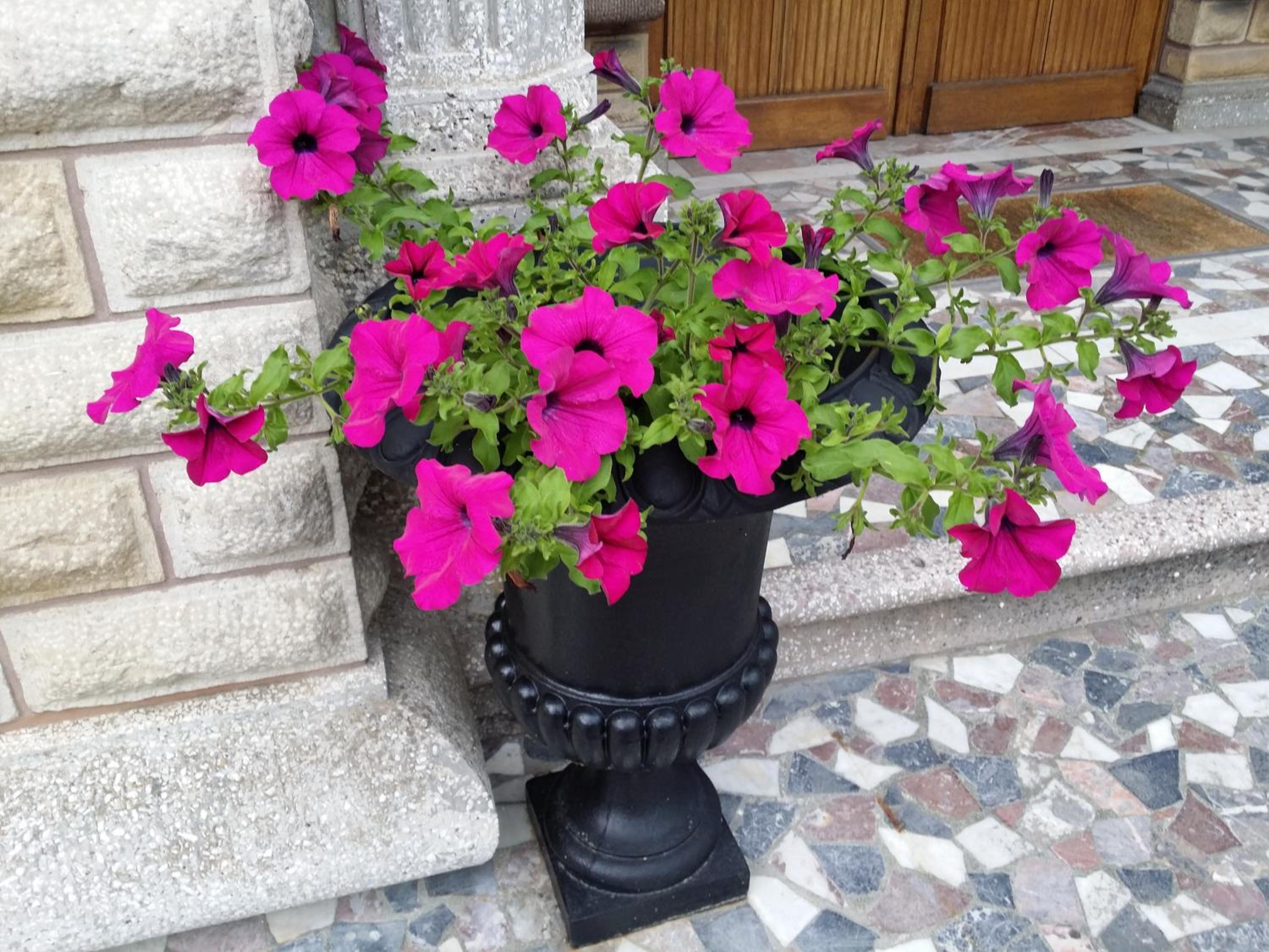 Le Castel Guesthouse
