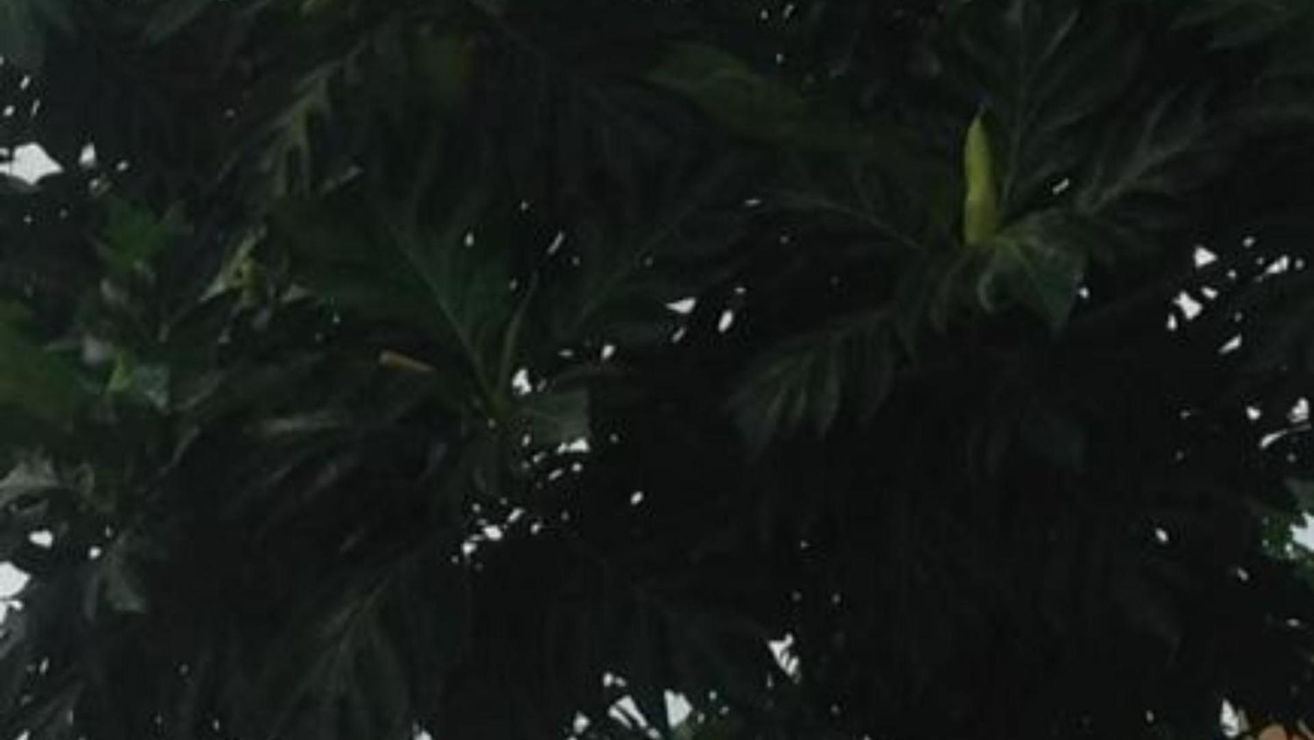 Casa de Ferias, photo 22