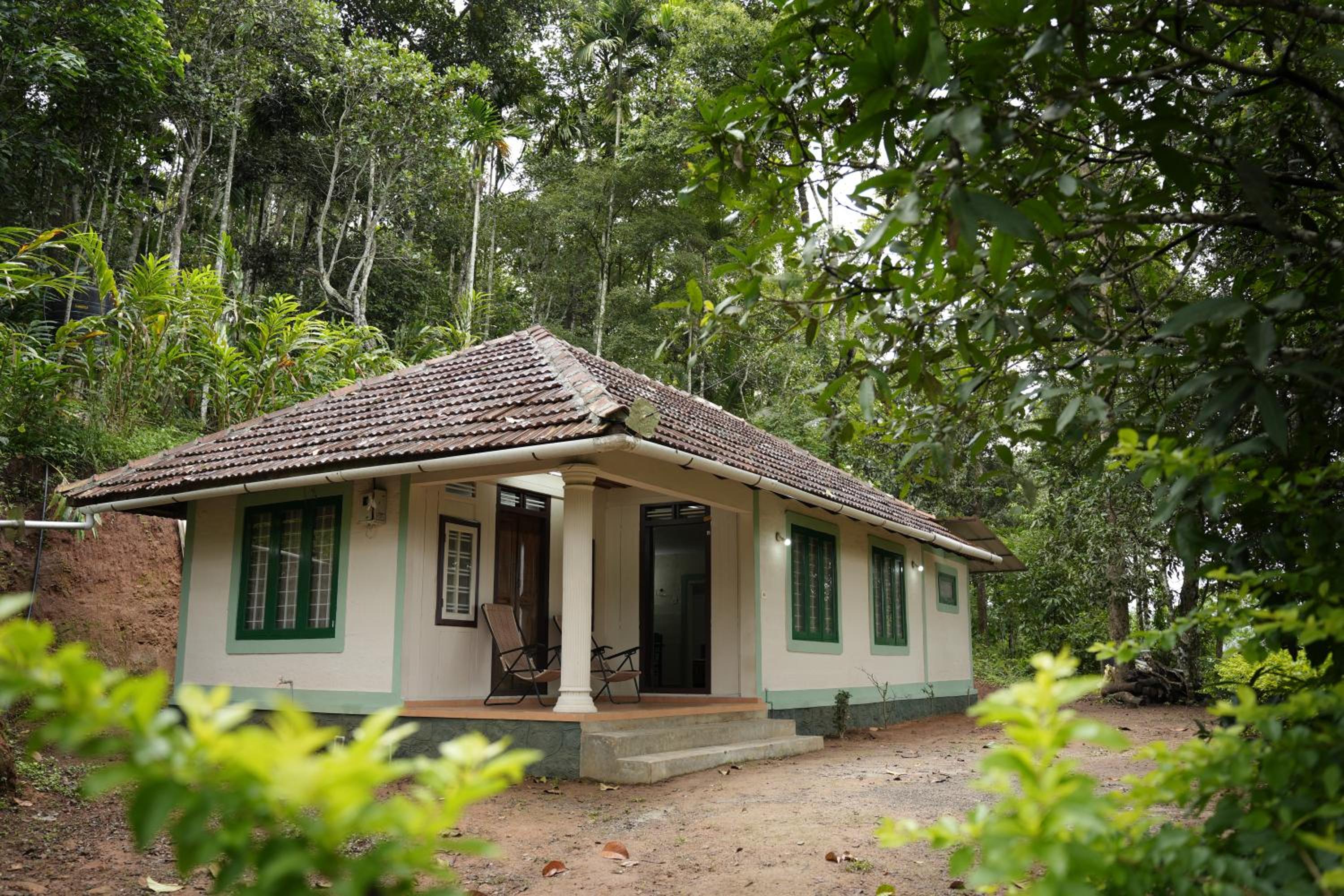 Coffee Camp Home Stay with Tree house