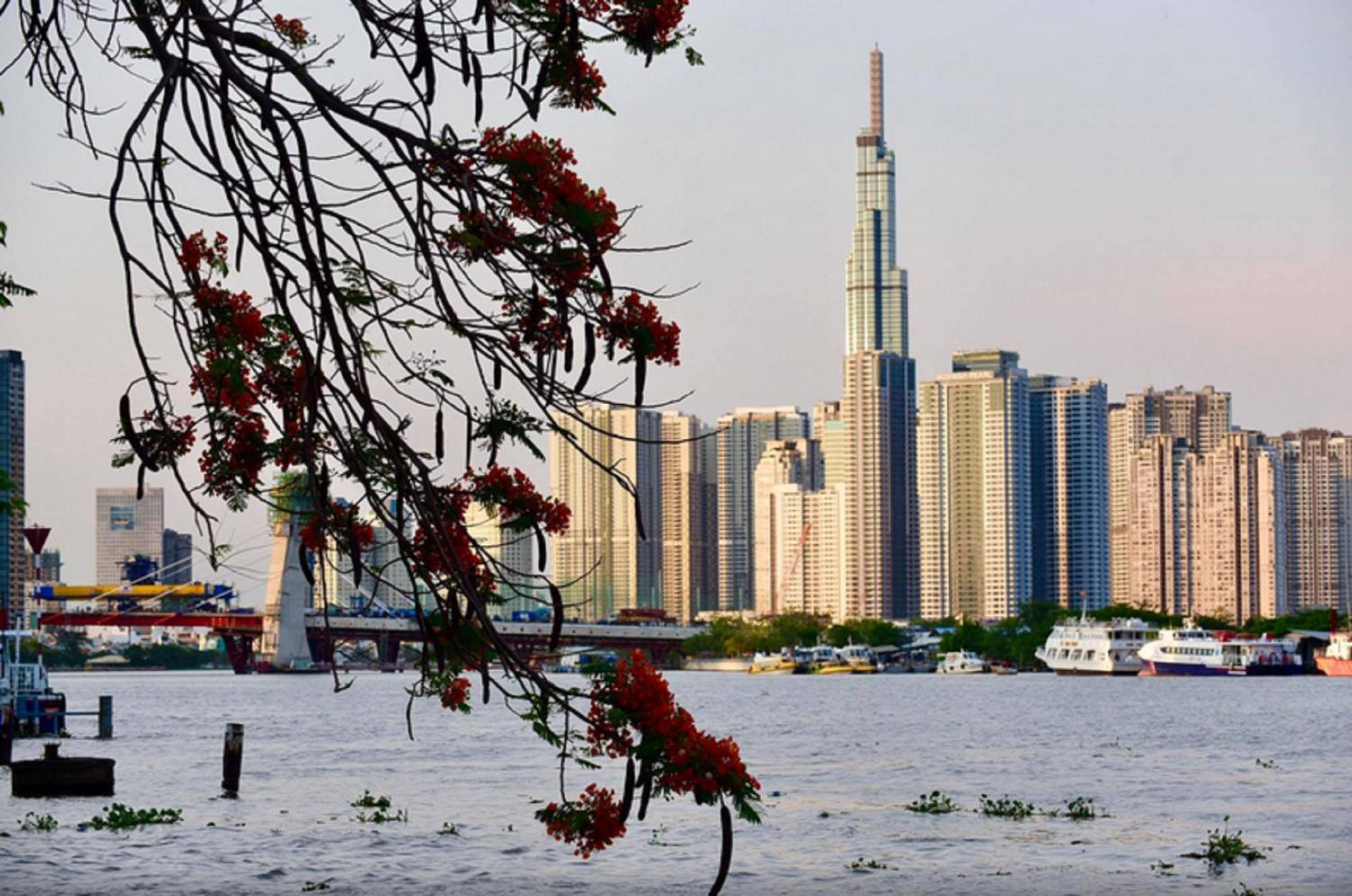 Avani Landmark 81 Tower