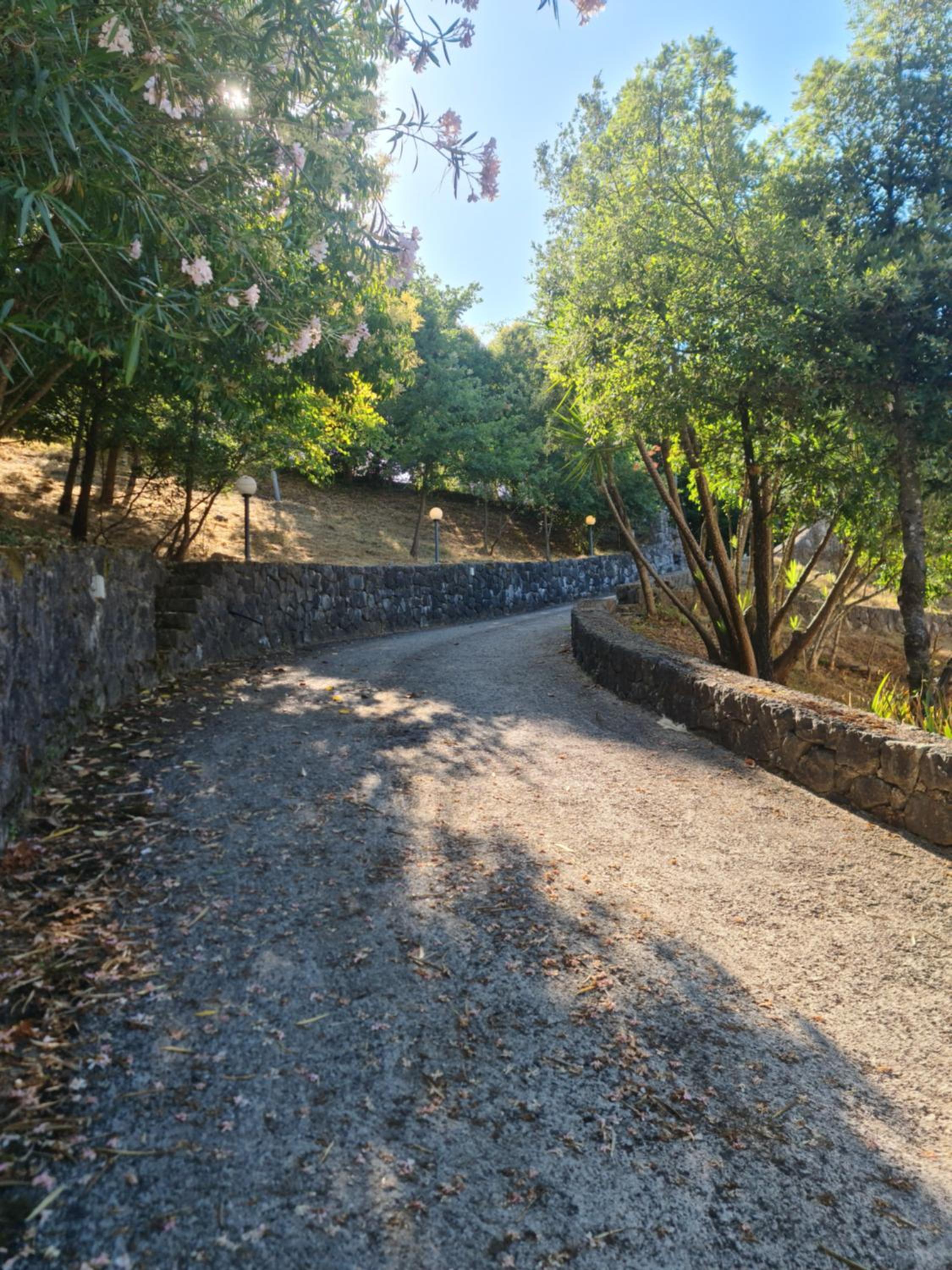 Cilento House Garden B&B MIRELLA