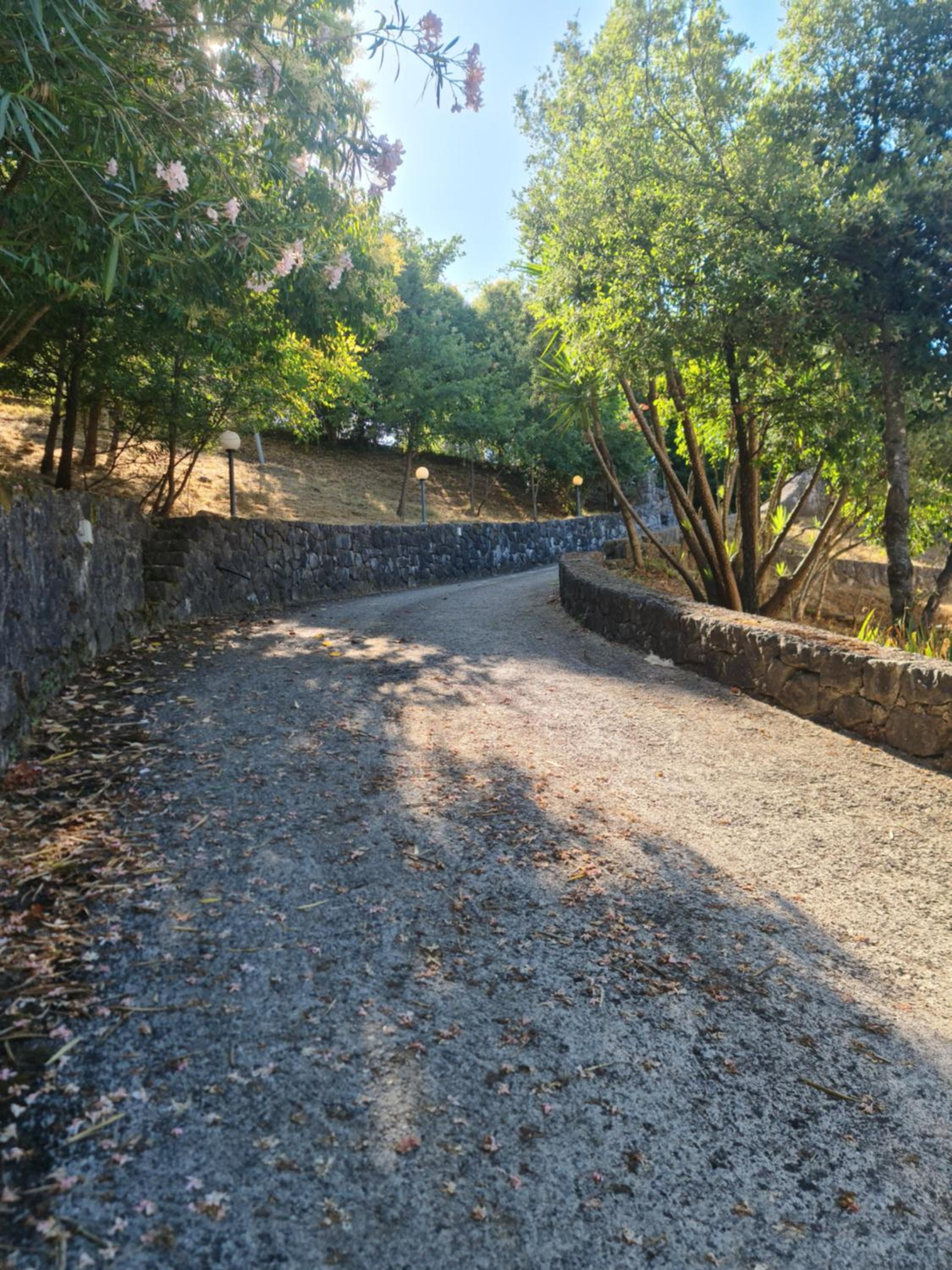 Cilento House Garden B&B MIRELLA