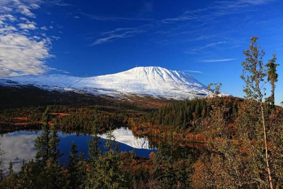 Lägenhet med utsikt mot Gaustatoppen, ski in ski out view 3