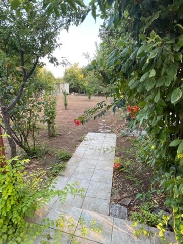 Photo 27
