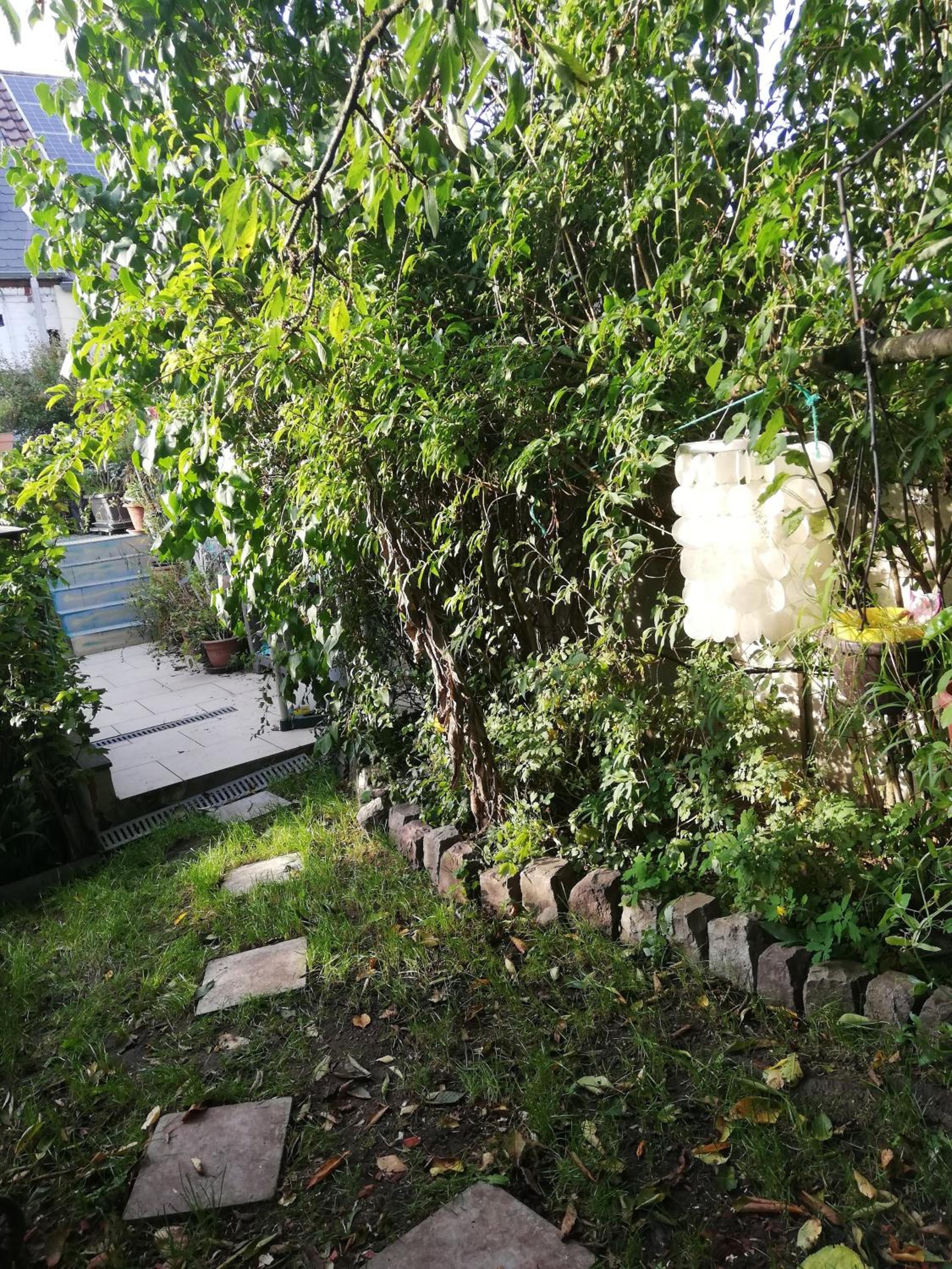Cozy Apartment in Estinnes – 40 sqm with a fenced garden.
