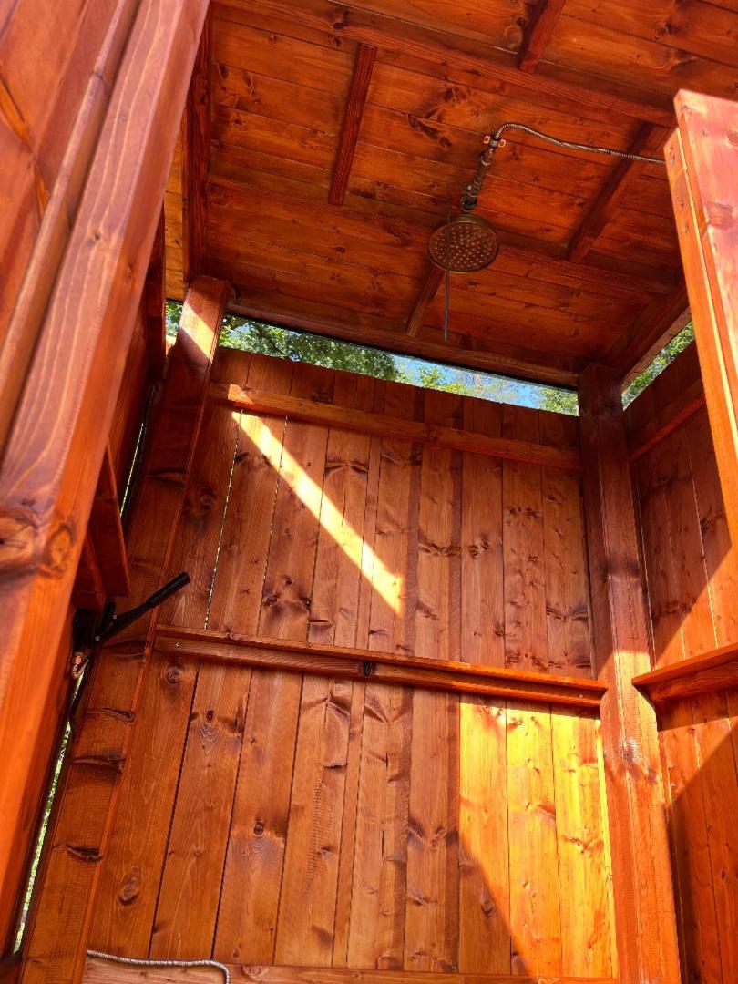 Treehouse U rybníka