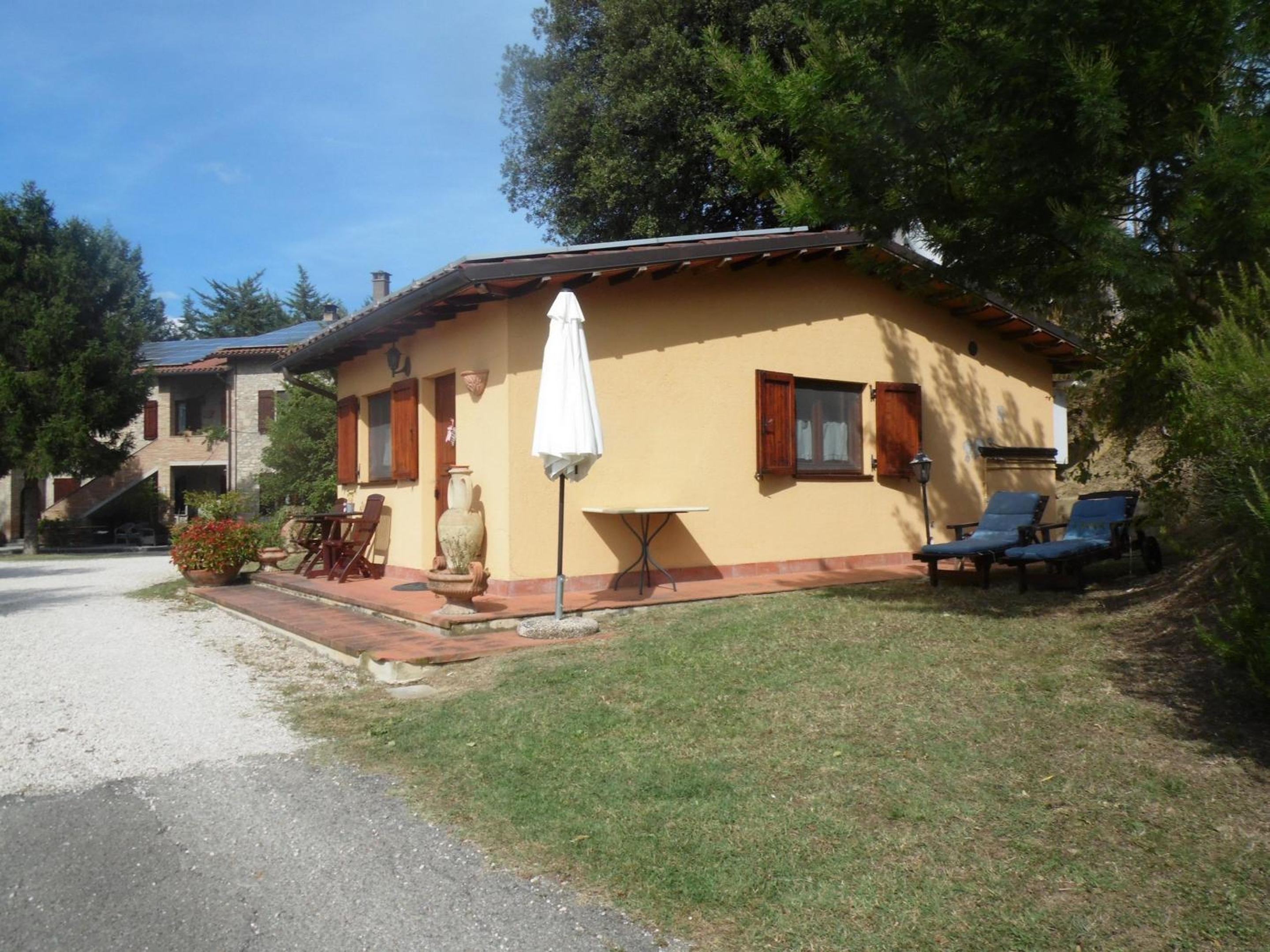 Photo 21