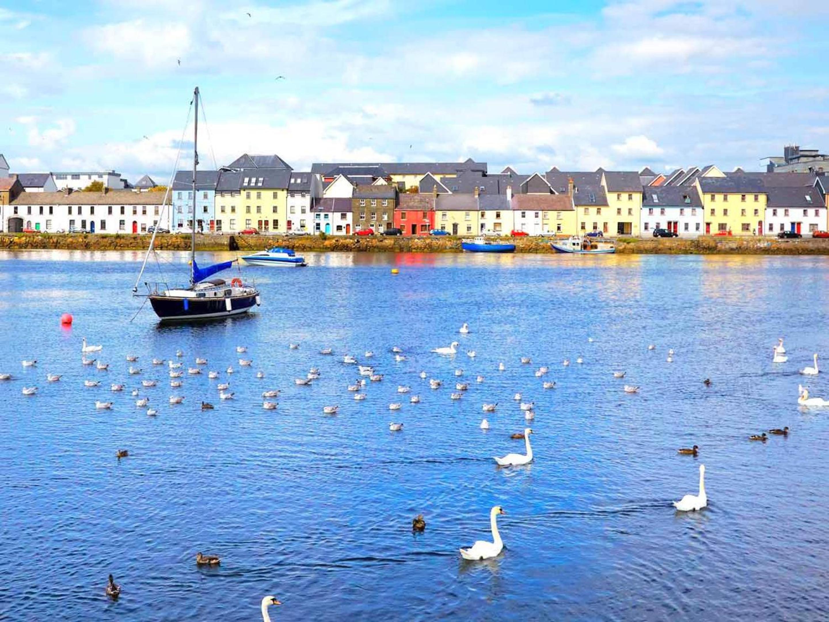 Cosy Apartment in Galway with Balcony, 32 m², City View view 2