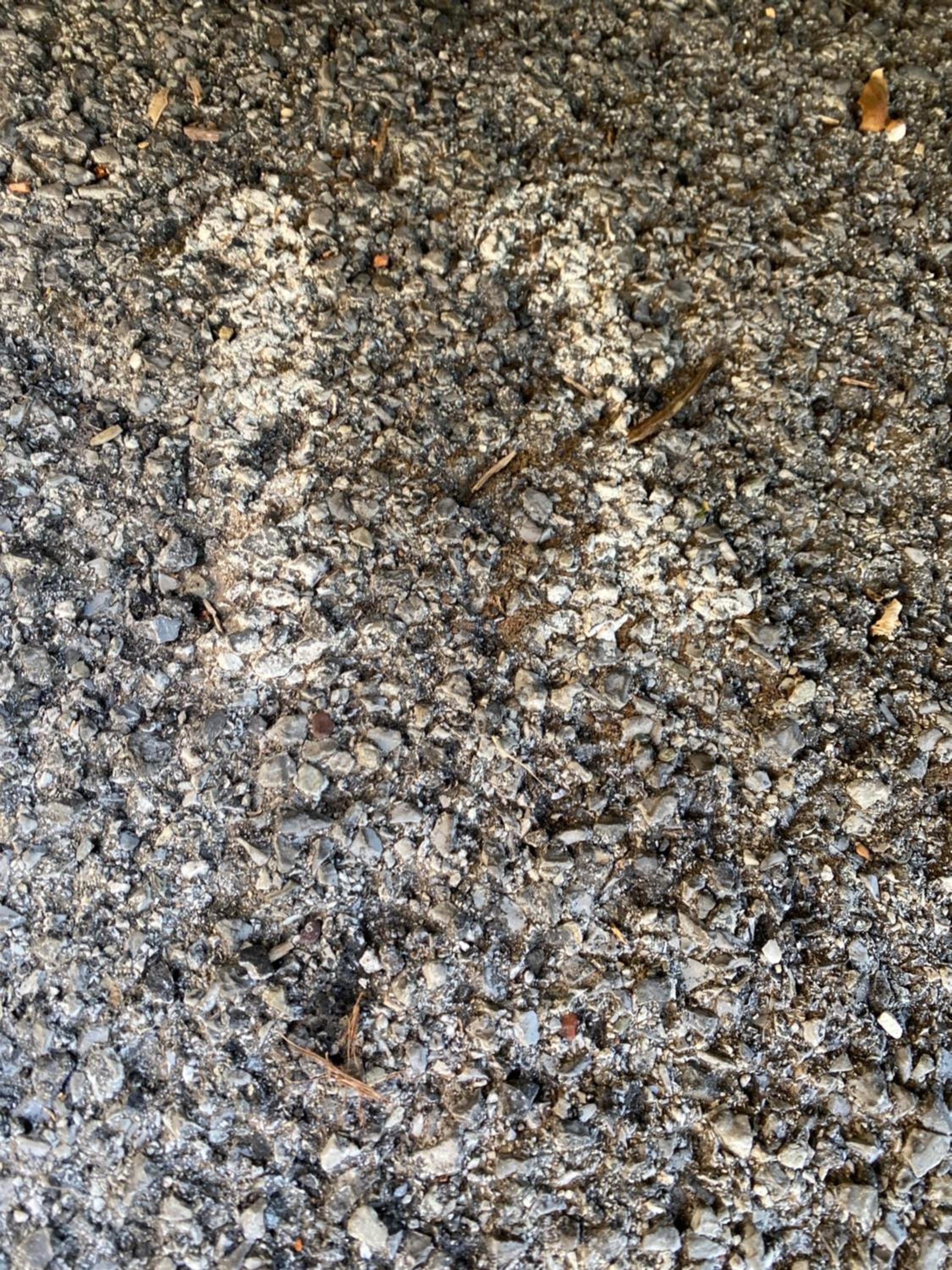 Un meraviglioso spazio a Camogli photo 4