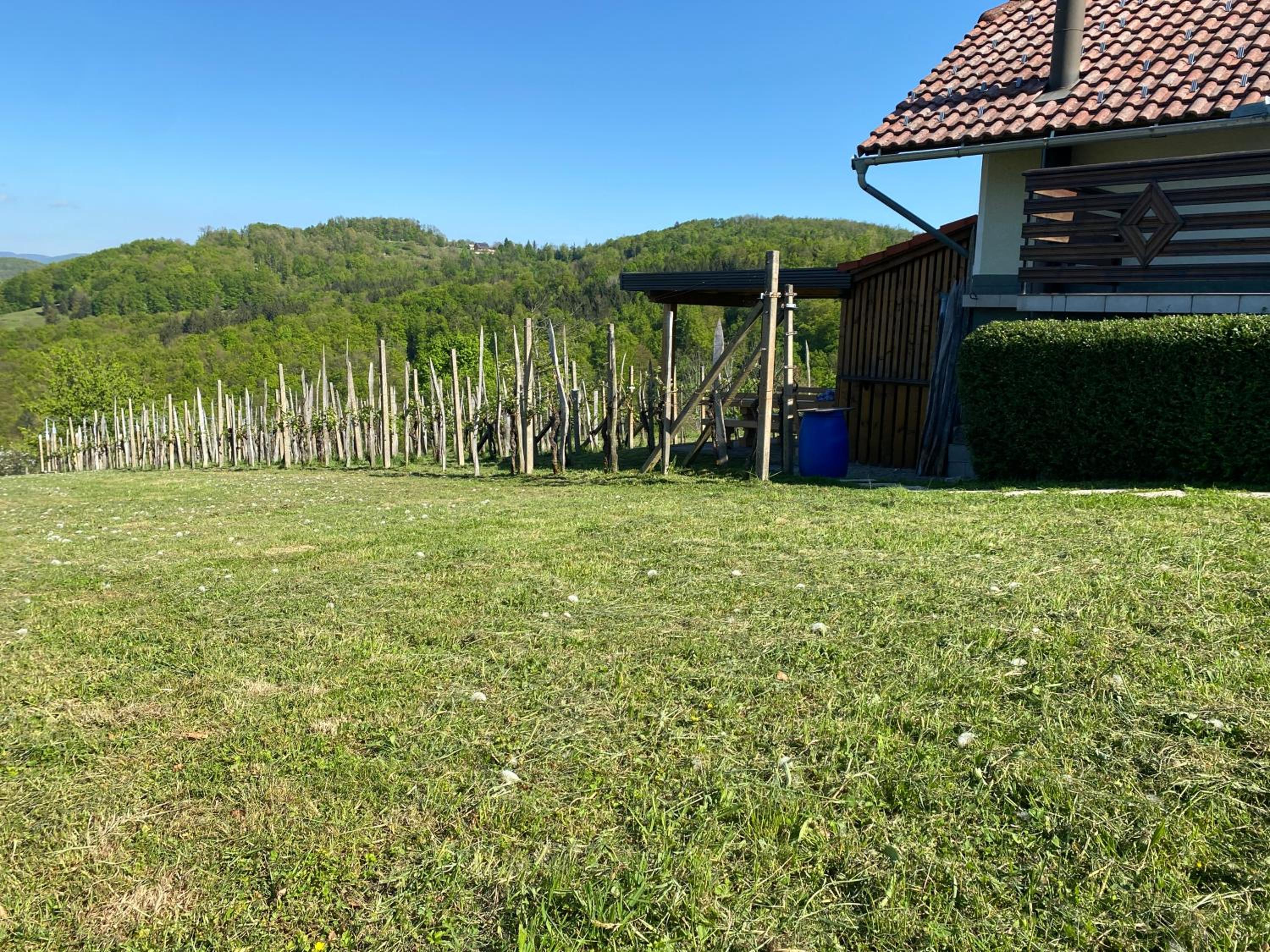 Zidanica Zorc view 3