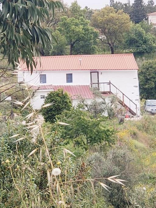 Casa Hortensia