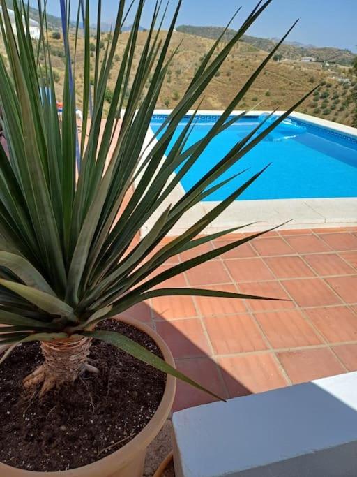 Casa Wenne - Private Pool with view view 2