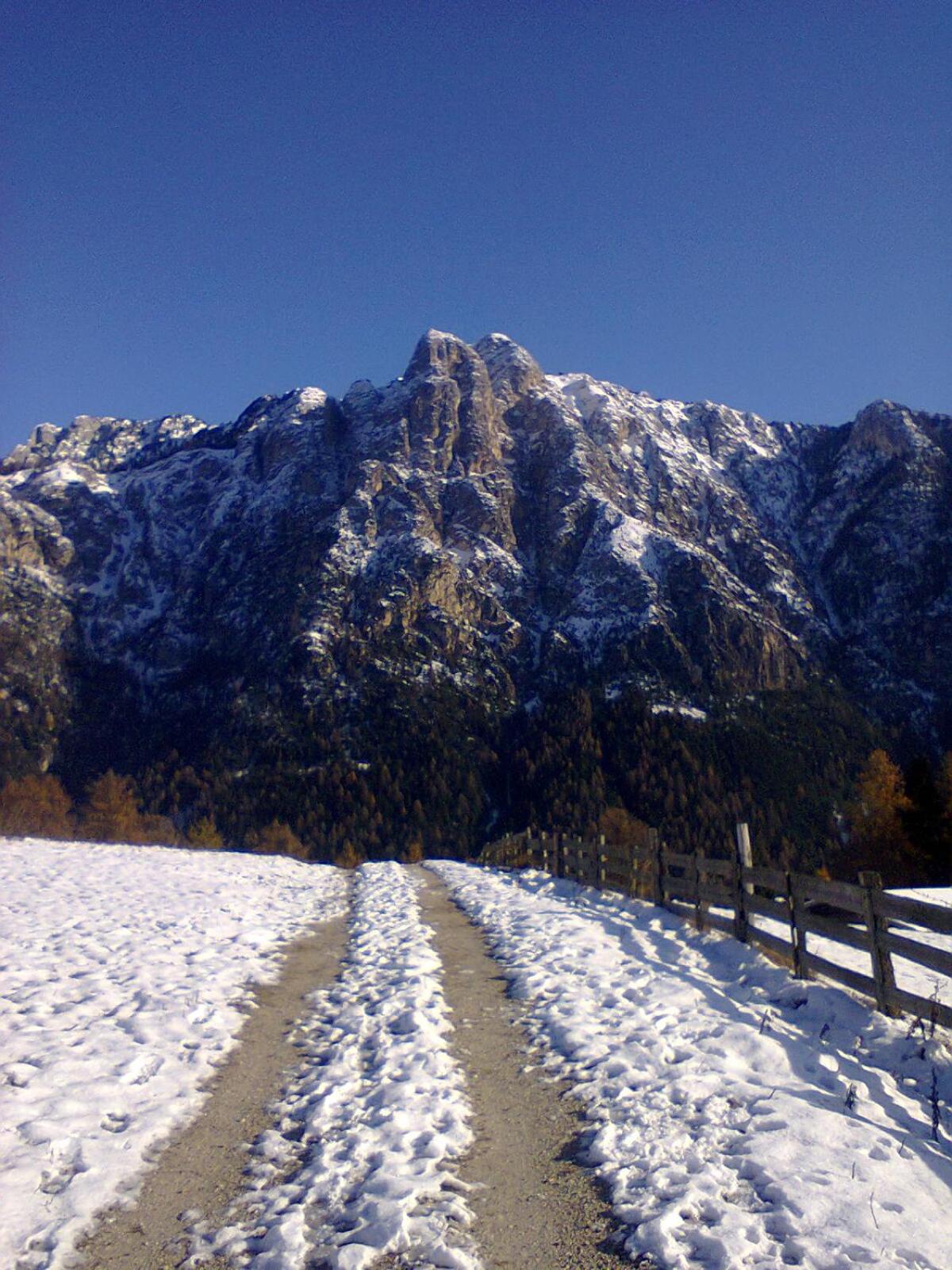 Photo 34