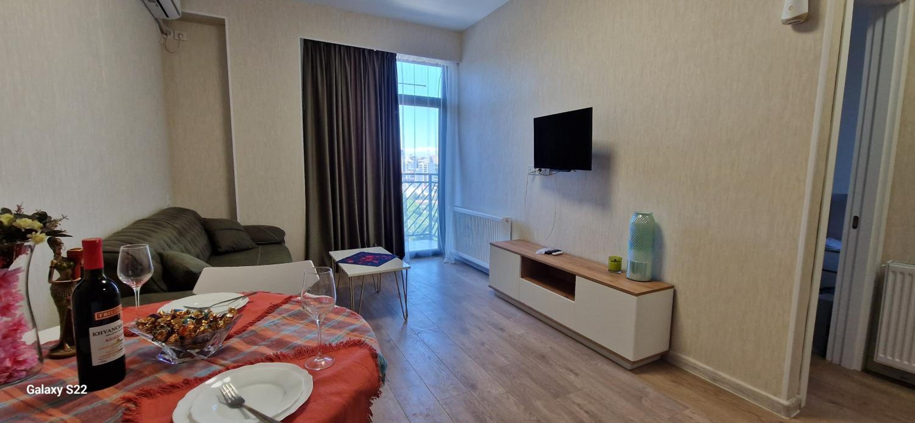 Apartment 80 in Tbilisi view 2