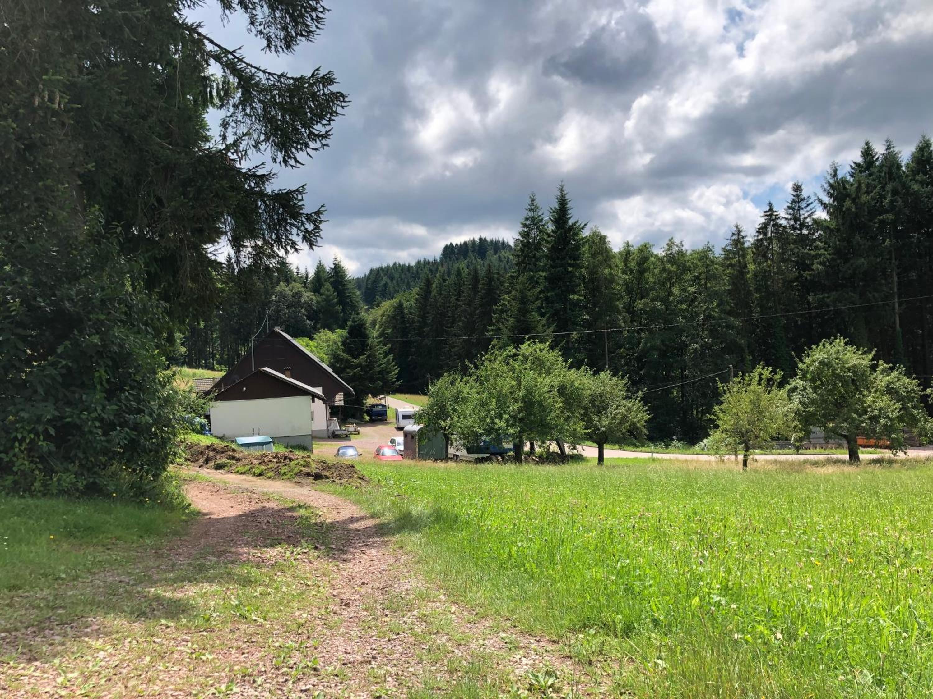 Ferien im Schwarzwald Freiamt