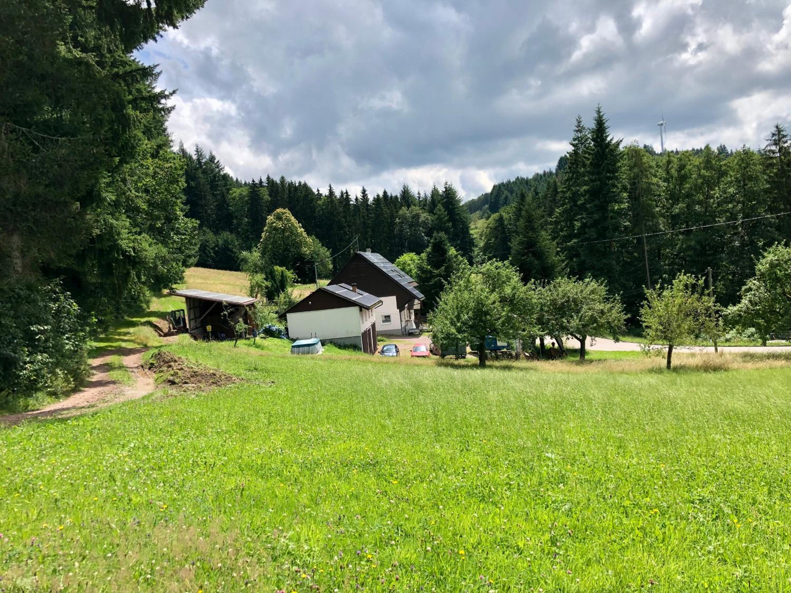 Ferien im Schwarzwald Freiamt