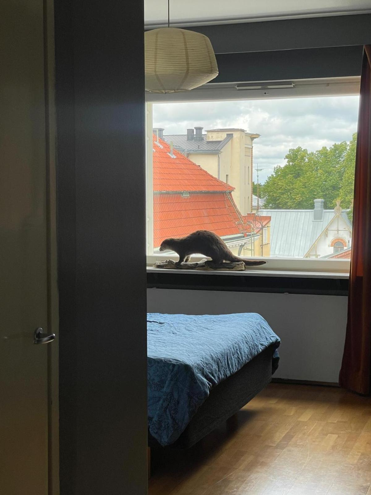 Huoneisto ydinkeskustassa