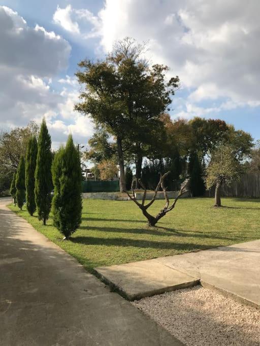 Detached Villa among the greenery in Sakarya view 3