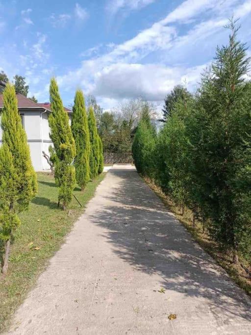 Detached Villa among the greenery in Sakarya view 5