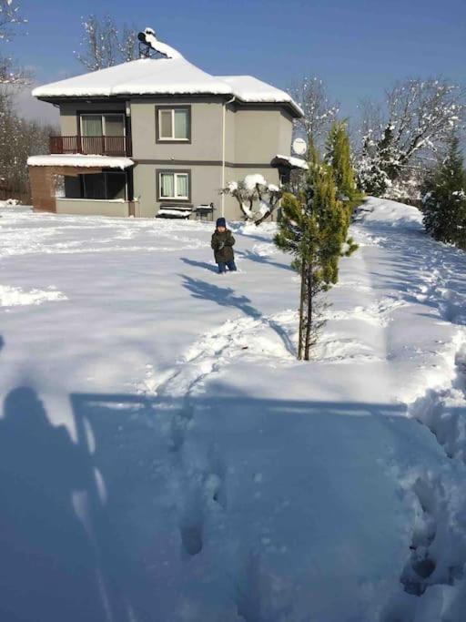 Photo 22