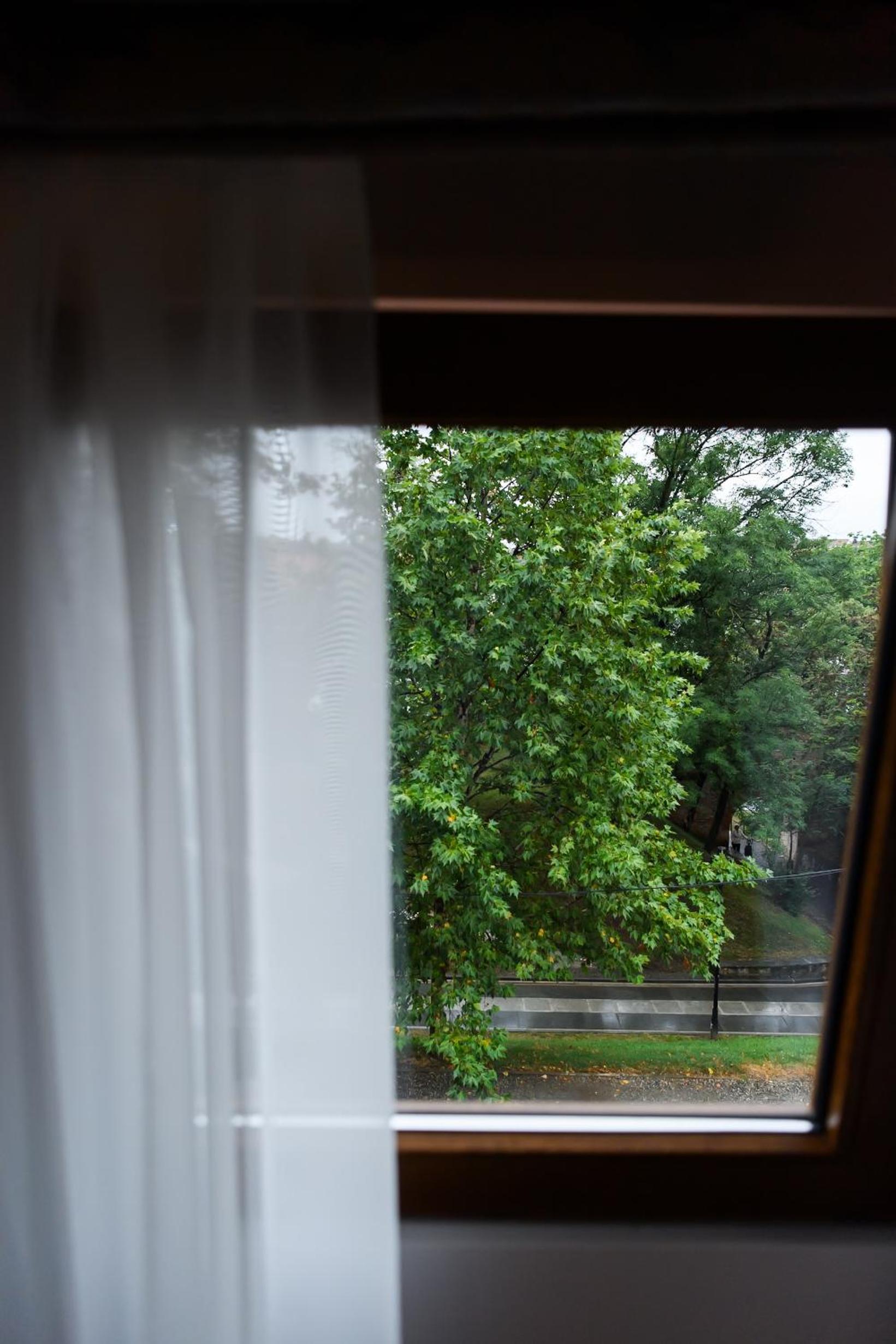 Photo 77