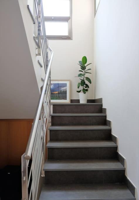Garden Villa near Girona and Costa Brava for Cyclists and Families view 3