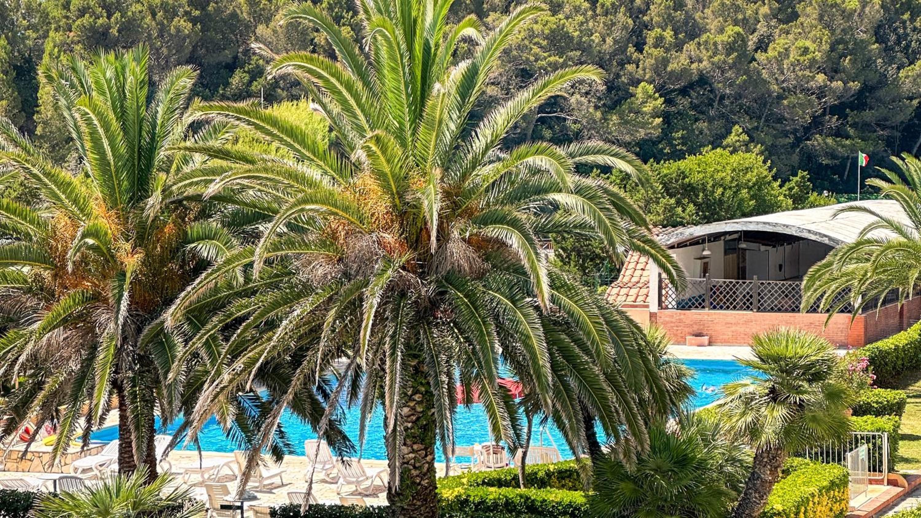 Chioma appartamento fronte mare - posto auto privato photo 2