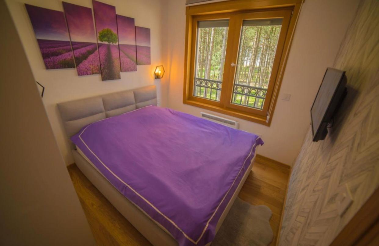 Apartman Autentik Sofija view 4