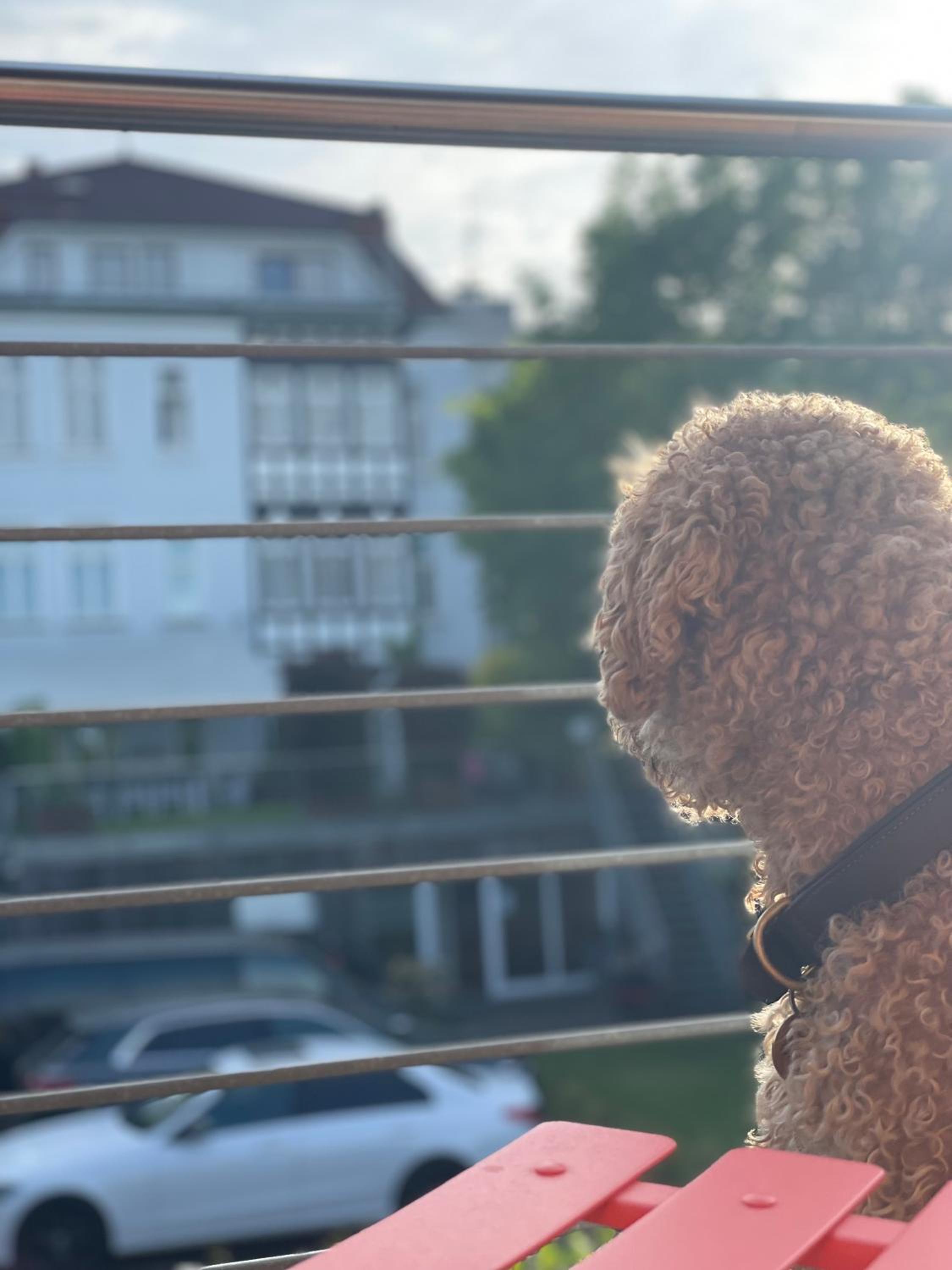 Sonniges Hinterhaus OG Innenstadt