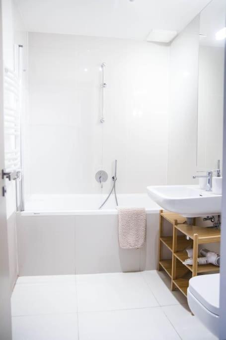 Luxury Apartment near Charles Bridge