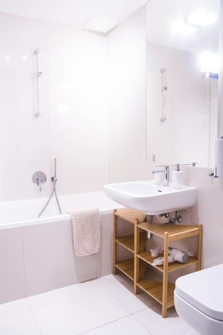 Luxury Apartment near Charles Bridge