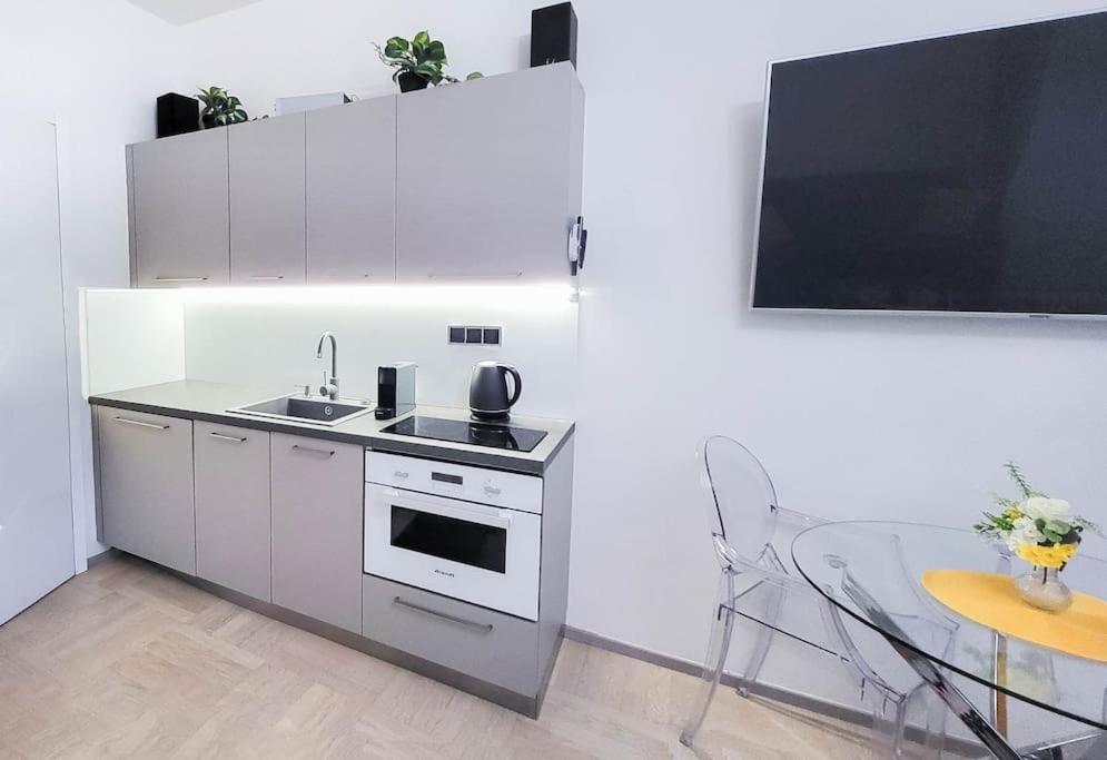 Luxury Apartment near Charles Bridge