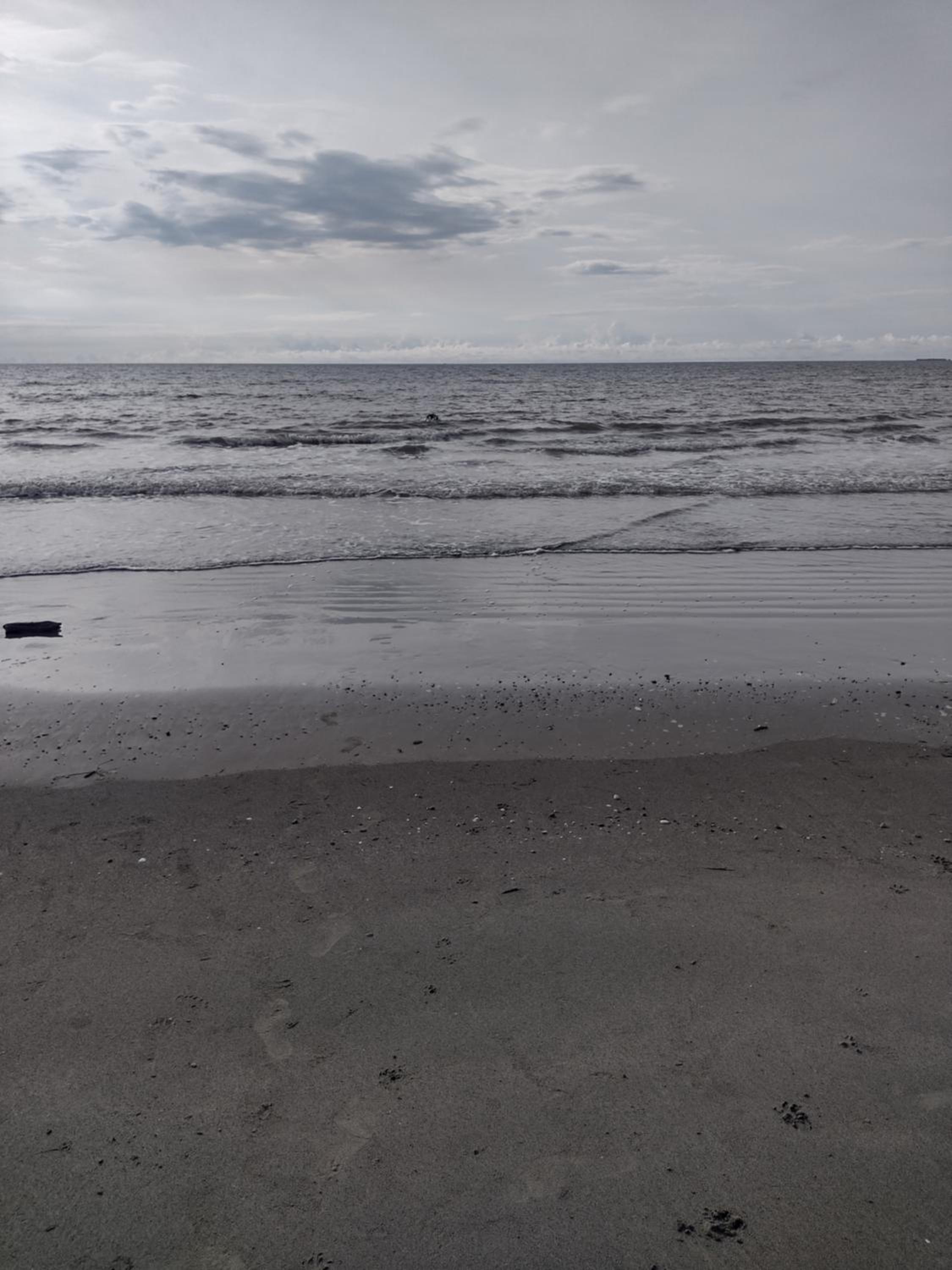 La playita