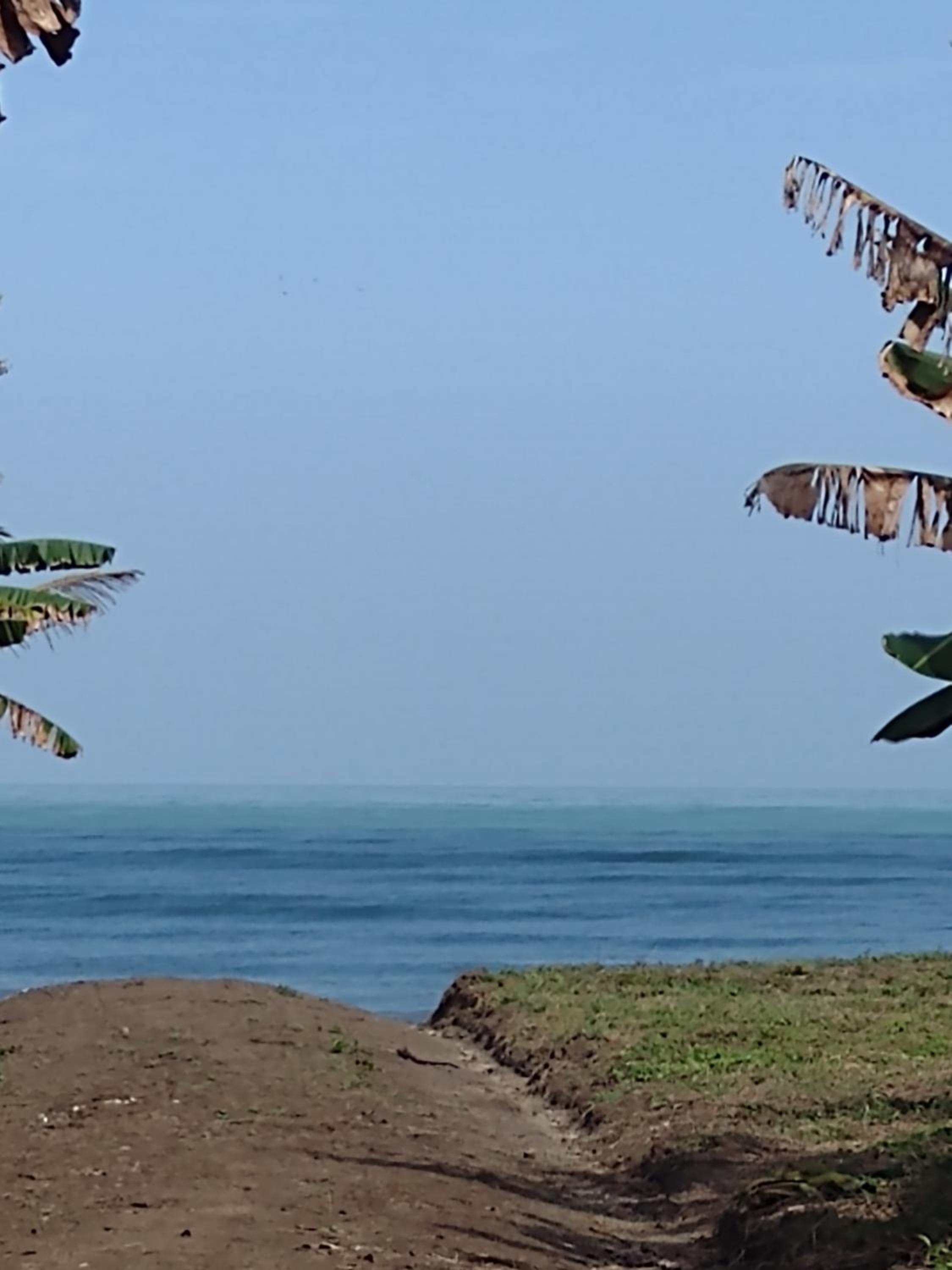La playita